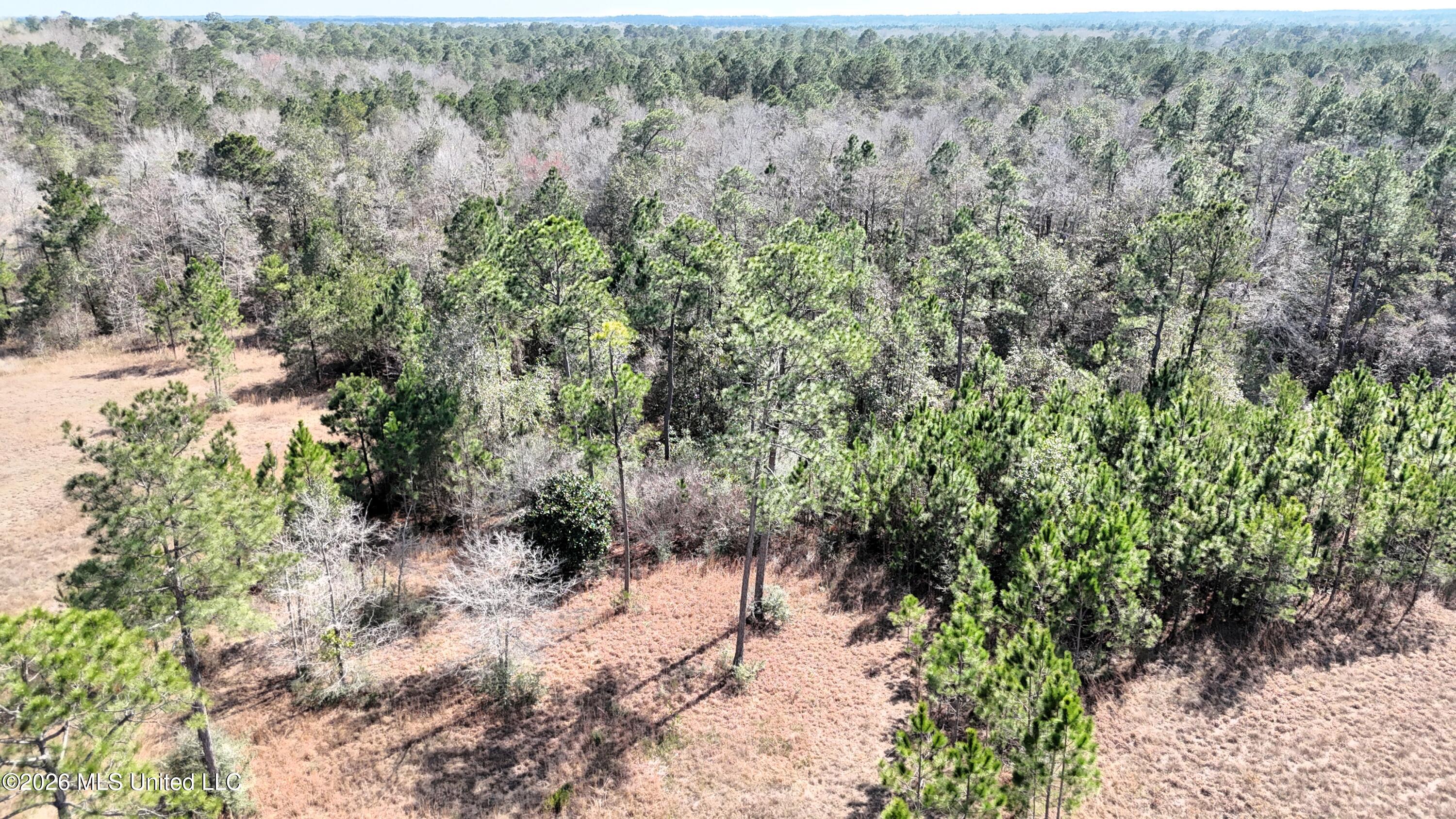0 Wolf River Road Property Photo 31