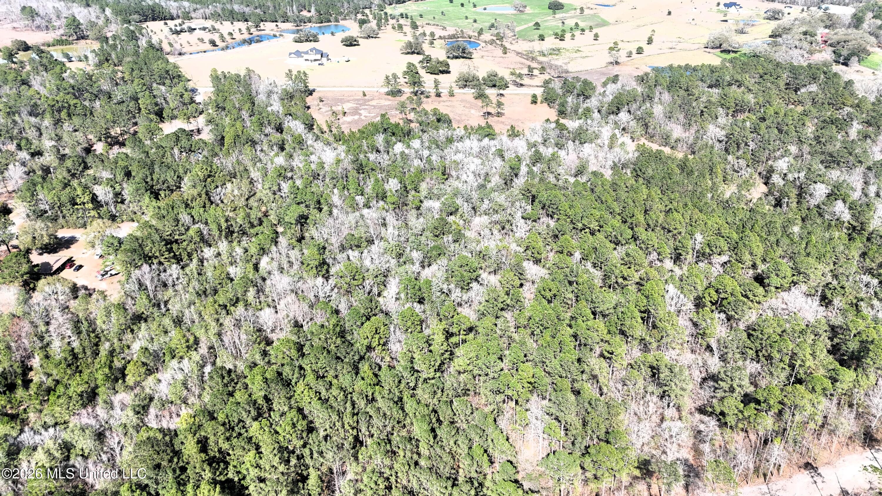 0 Wolf River Road Property Photo 36