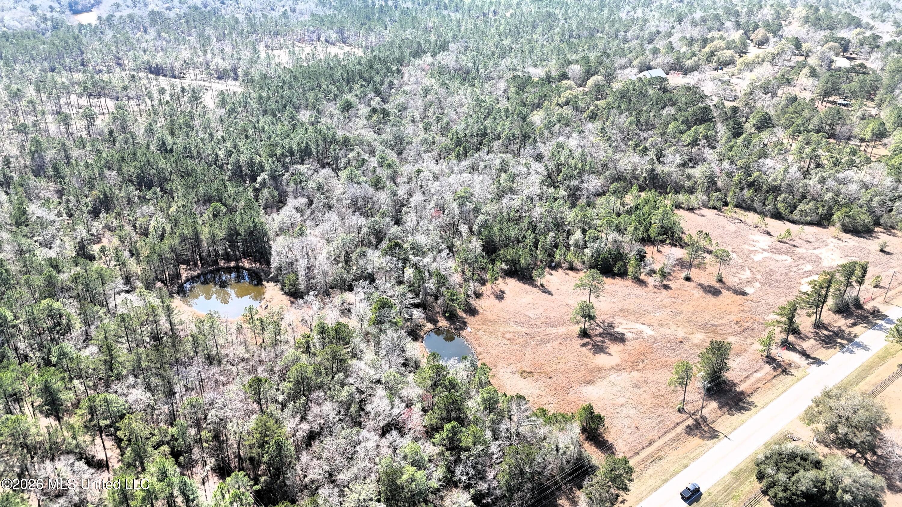 0 Wolf River Road Property Photo 39