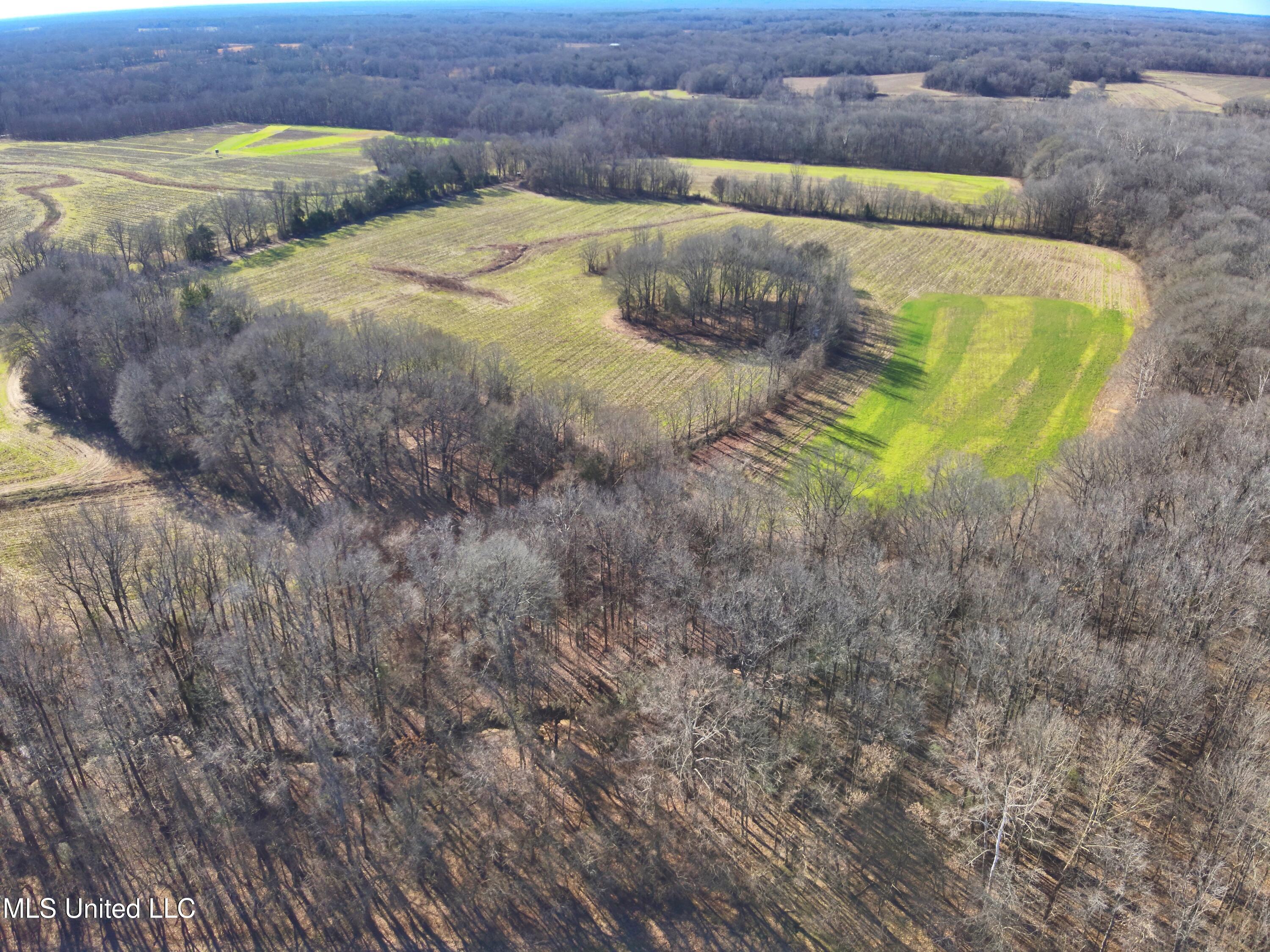 577 Black Jack Road Property Photo 1