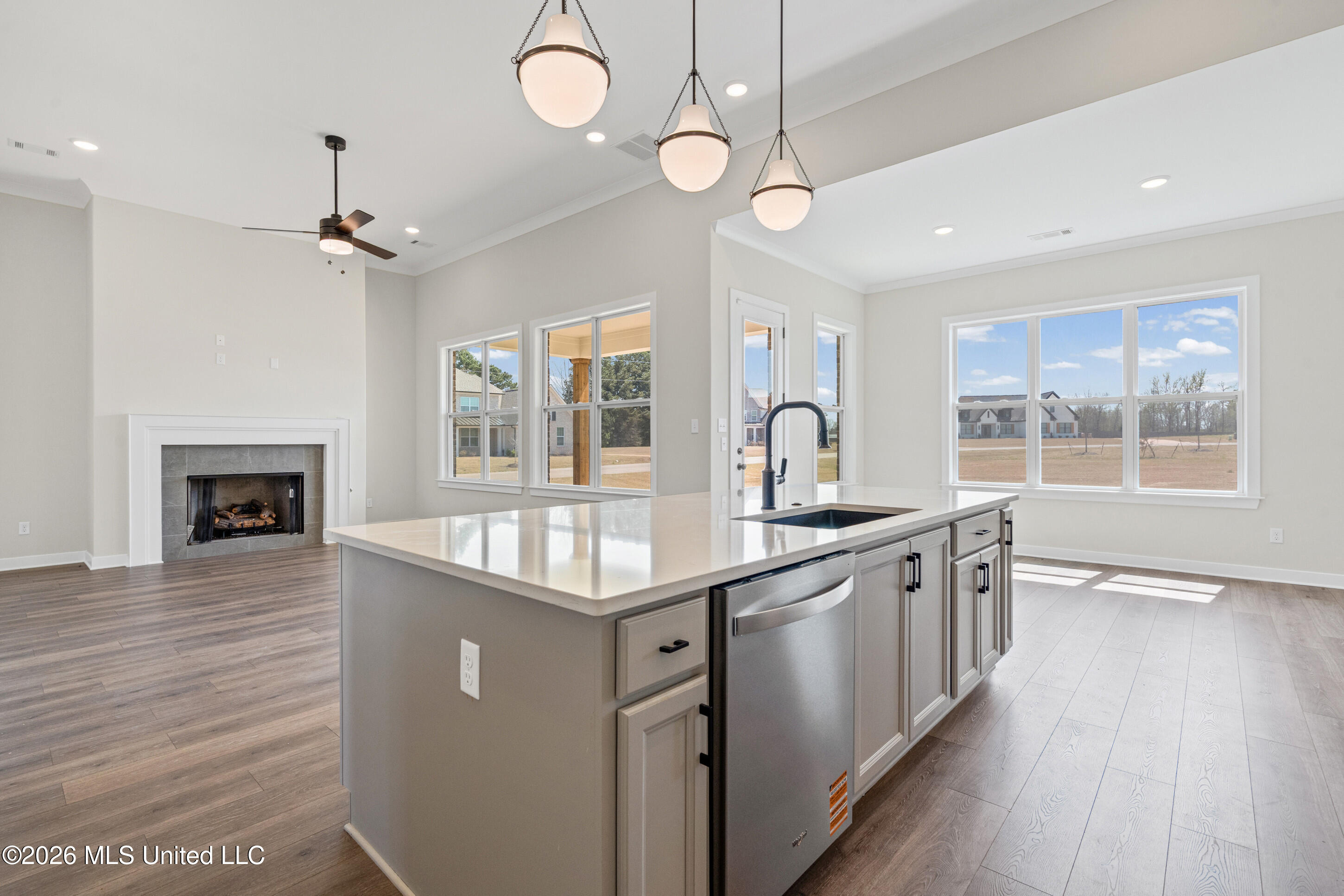 9135 Cedar Barn Cove Property Photo 10