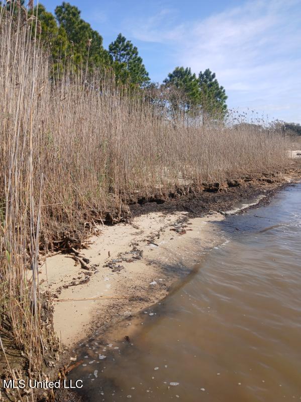 Lot 1 Swetman Beach Drive Property Photo 10