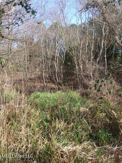 Lot 1 Swetman Beach Drive Property Photo 14