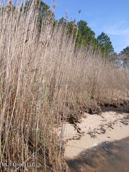 Lot 1 Swetman Beach Drive Property Photo 15