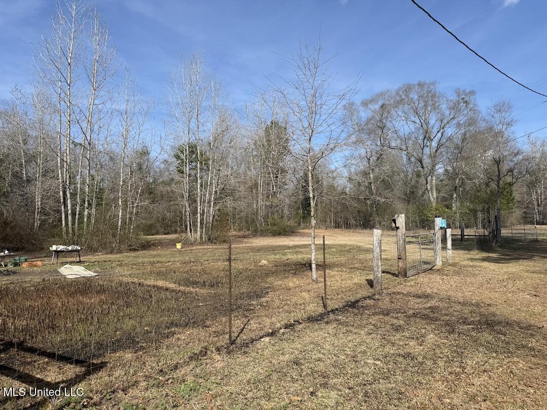 283 Hester Loop Property Photo 4