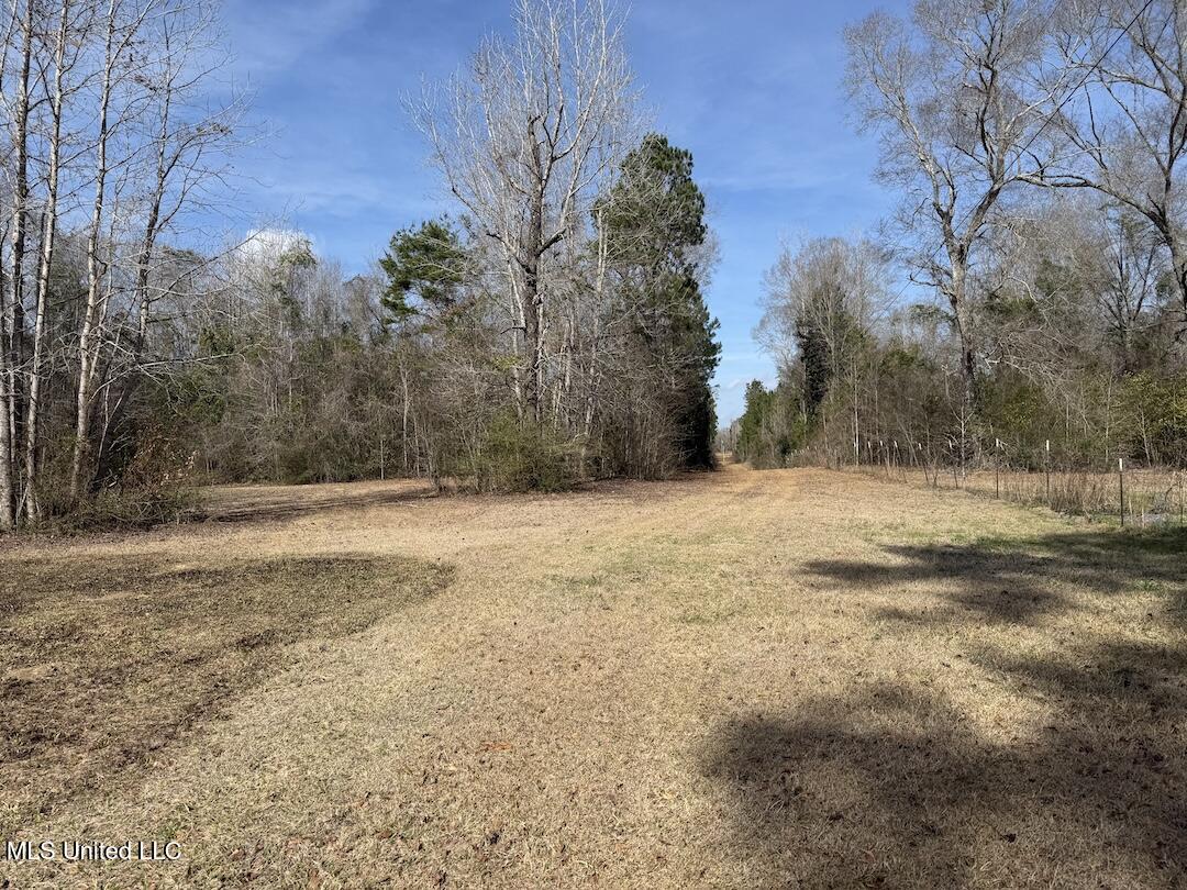 283 Hester Loop Property Photo 5
