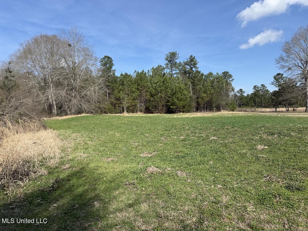 283 Hester Loop Property Photo 6