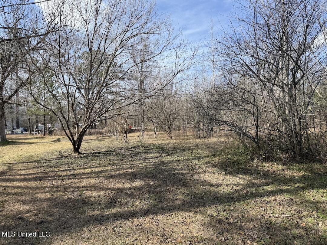 283 Hester Loop Property Photo 8
