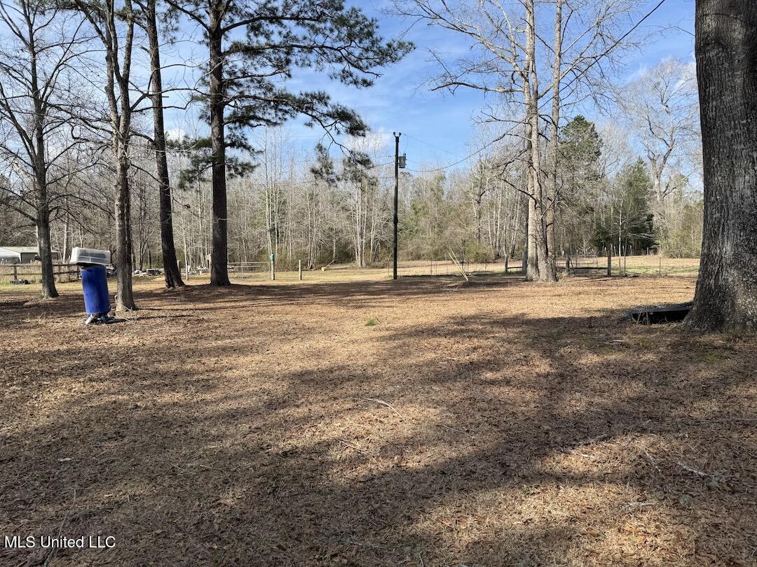 283 Hester Loop Property Photo 9