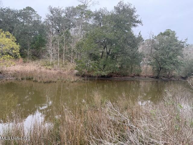 Robert Hiram Drive Property Photo 1