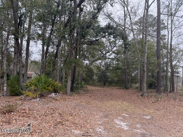 Robert Hiram Drive Property Photo 3