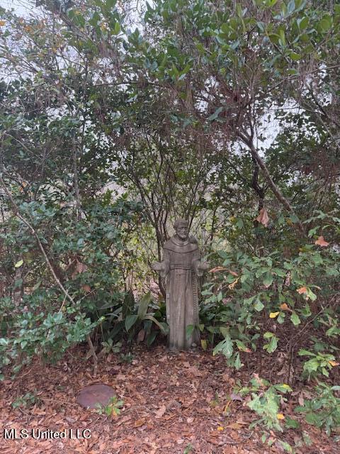 Robert Hiram Drive Property Photo 5