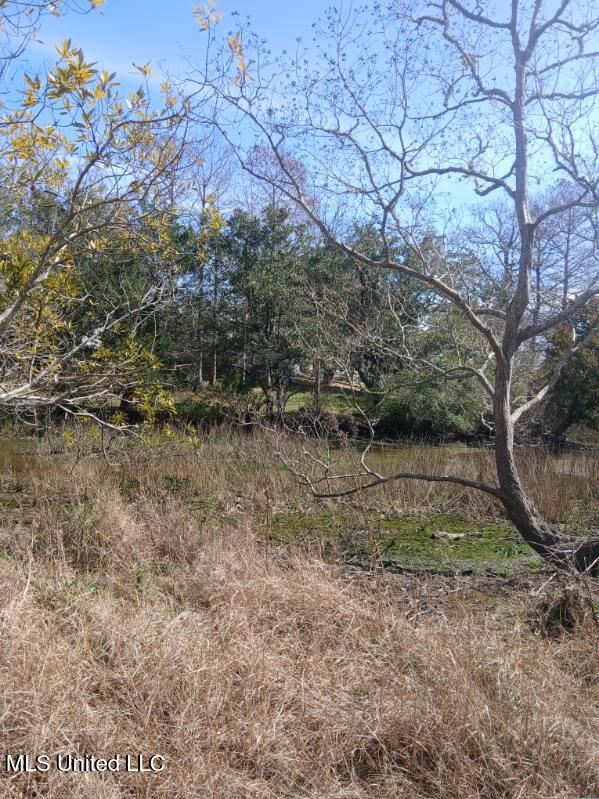 Robert Hiram Drive Property Photo 6