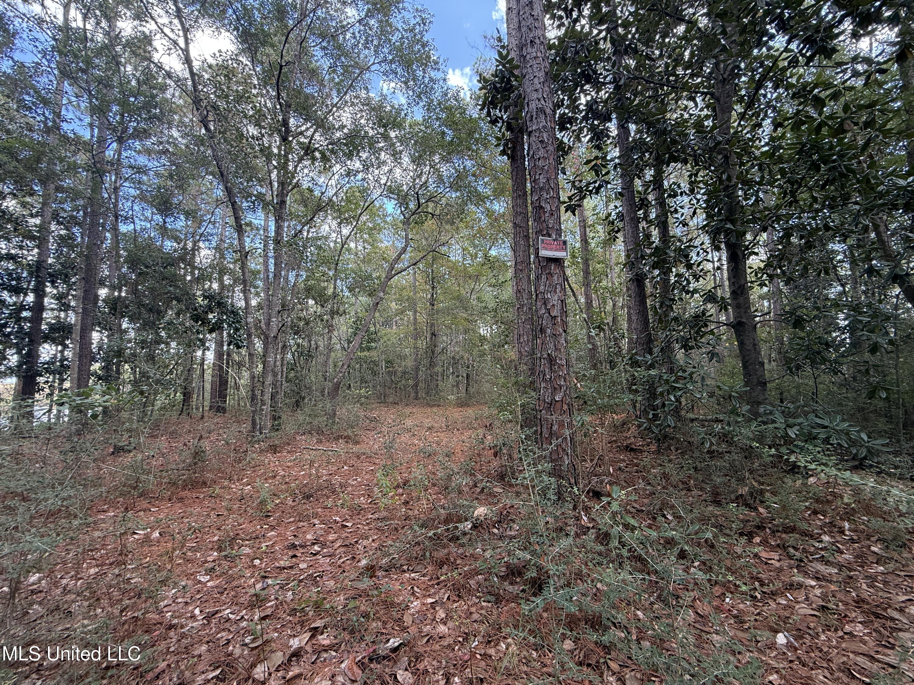 1210 Delapointe Drive Property Photo 7