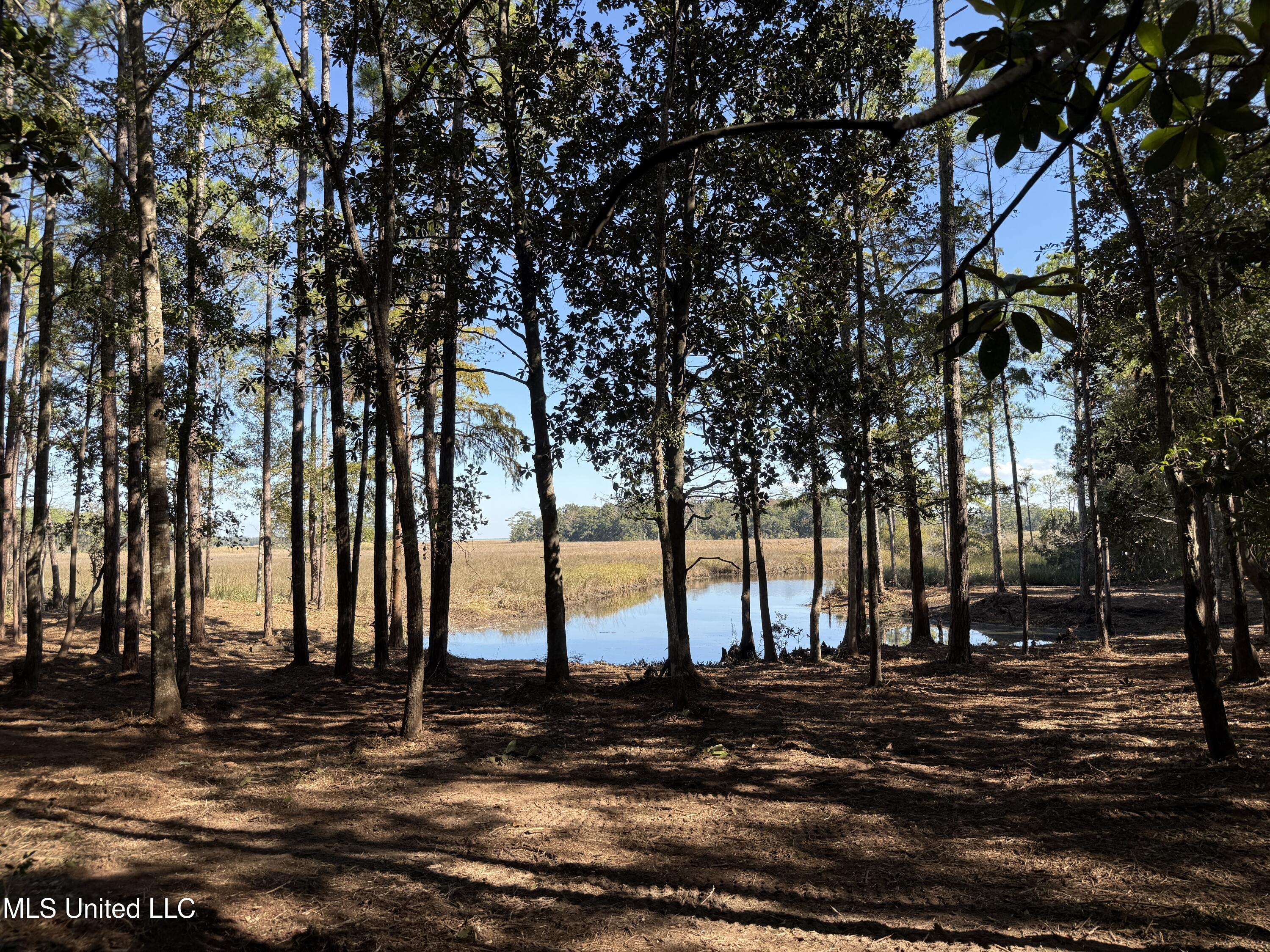 1210 Delapointe Drive Property Photo 11