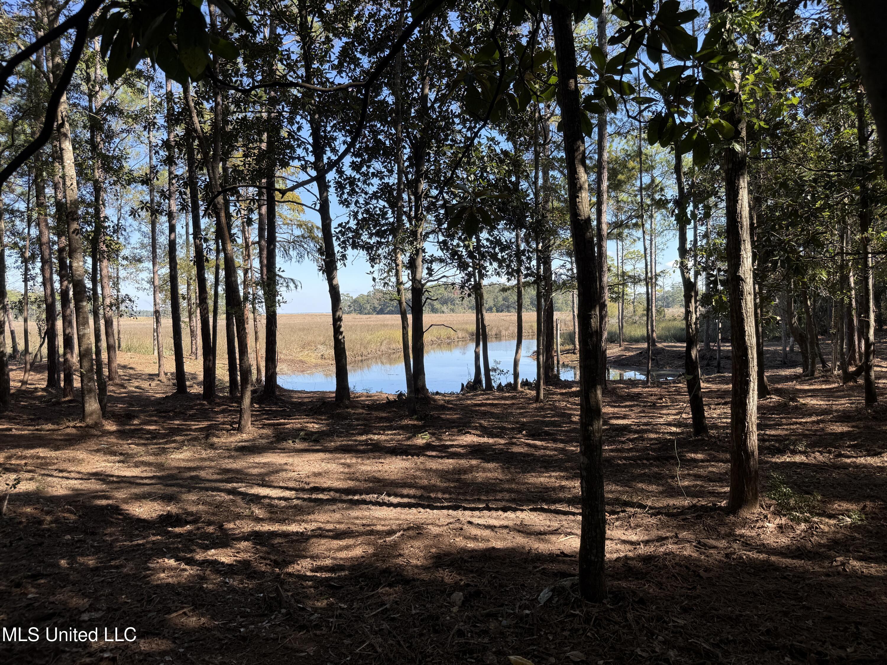 1210 Delapointe Drive Property Photo 16