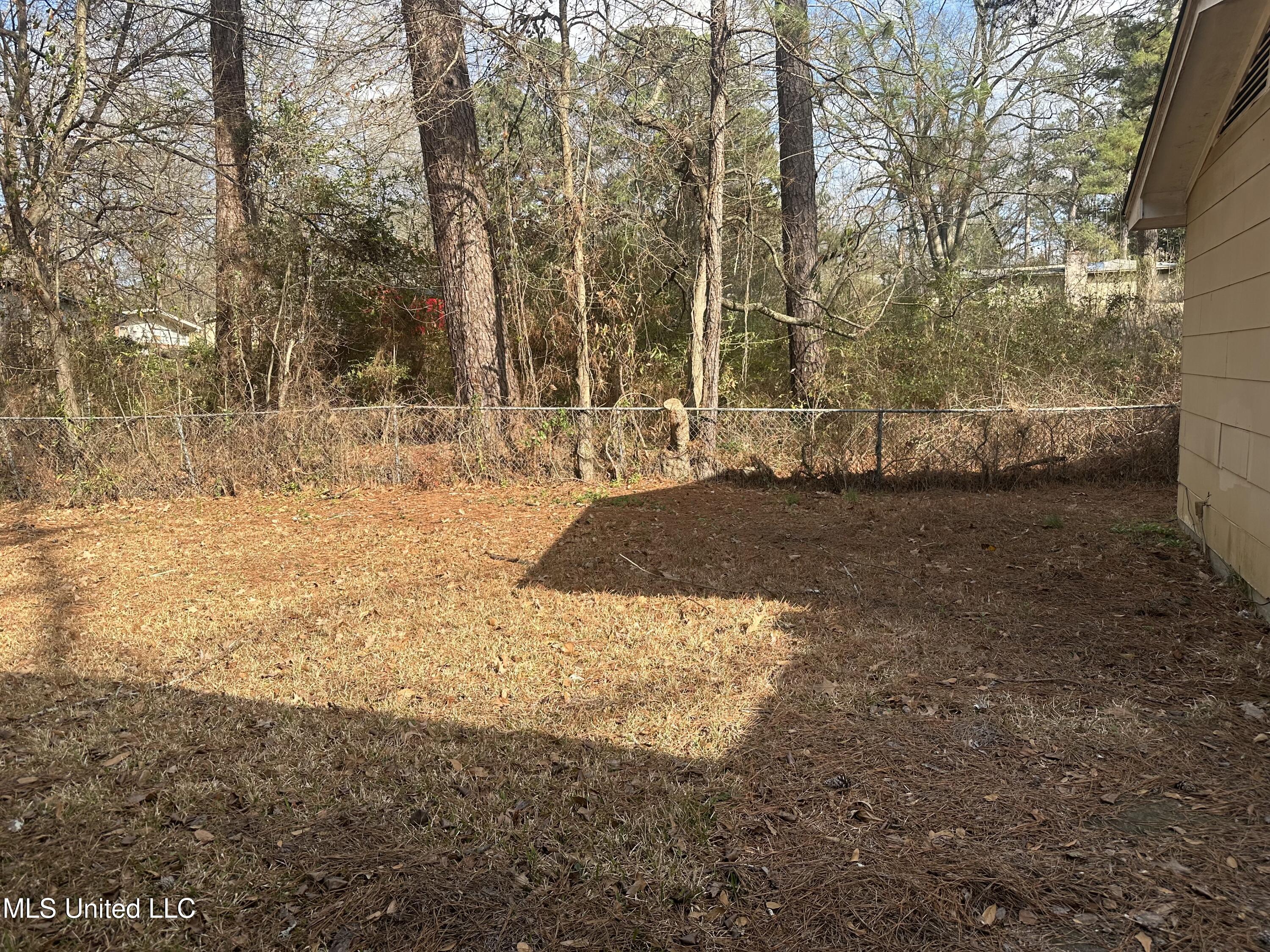 1156 Garden Park Drive Property Photo 28