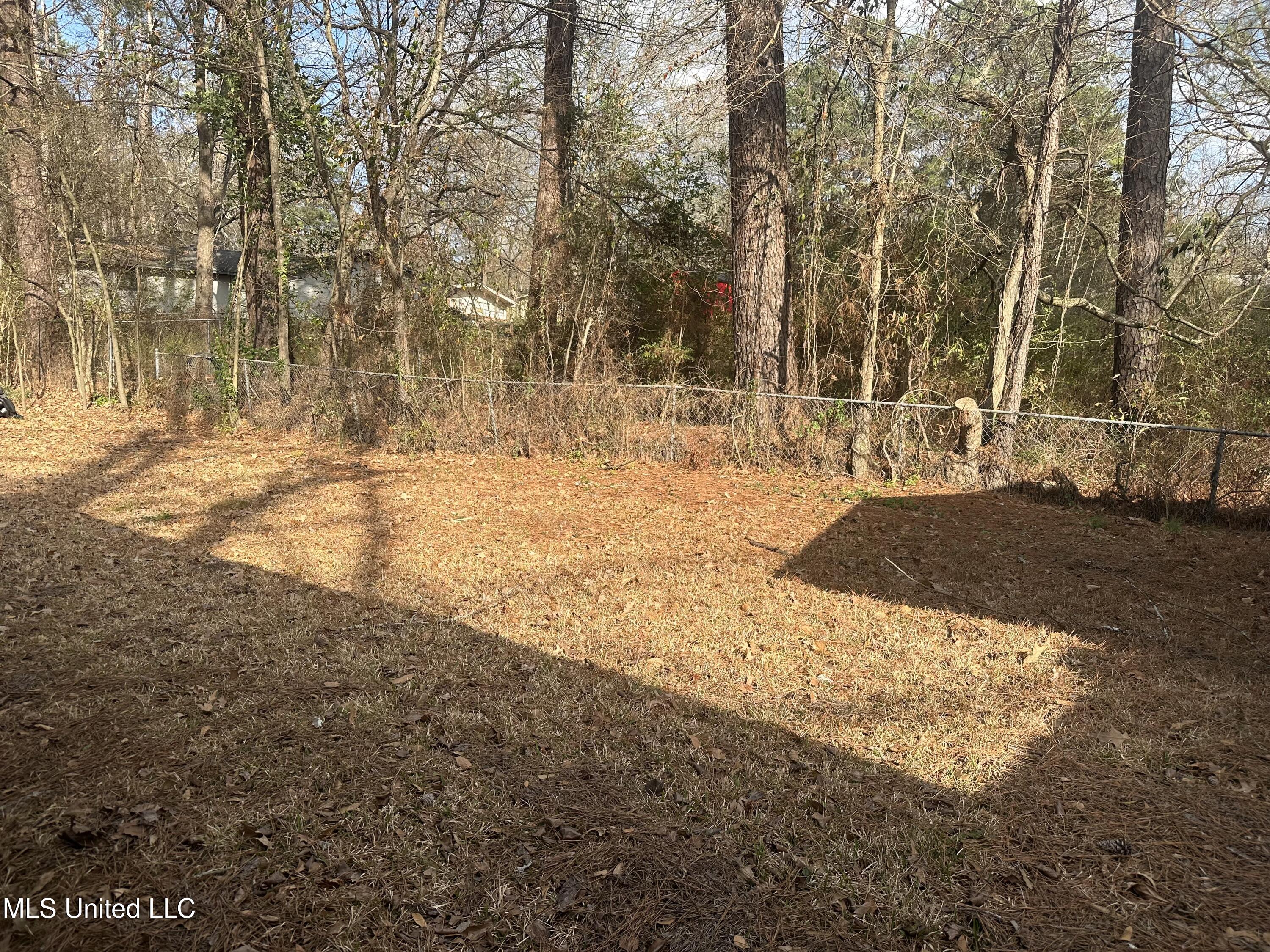 1156 Garden Park Drive Property Photo 29