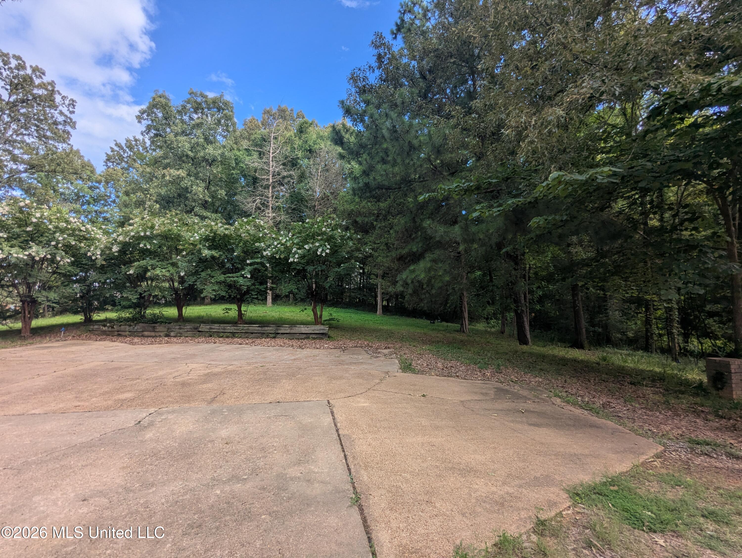 237 S Highway 51 Property Photo 3
