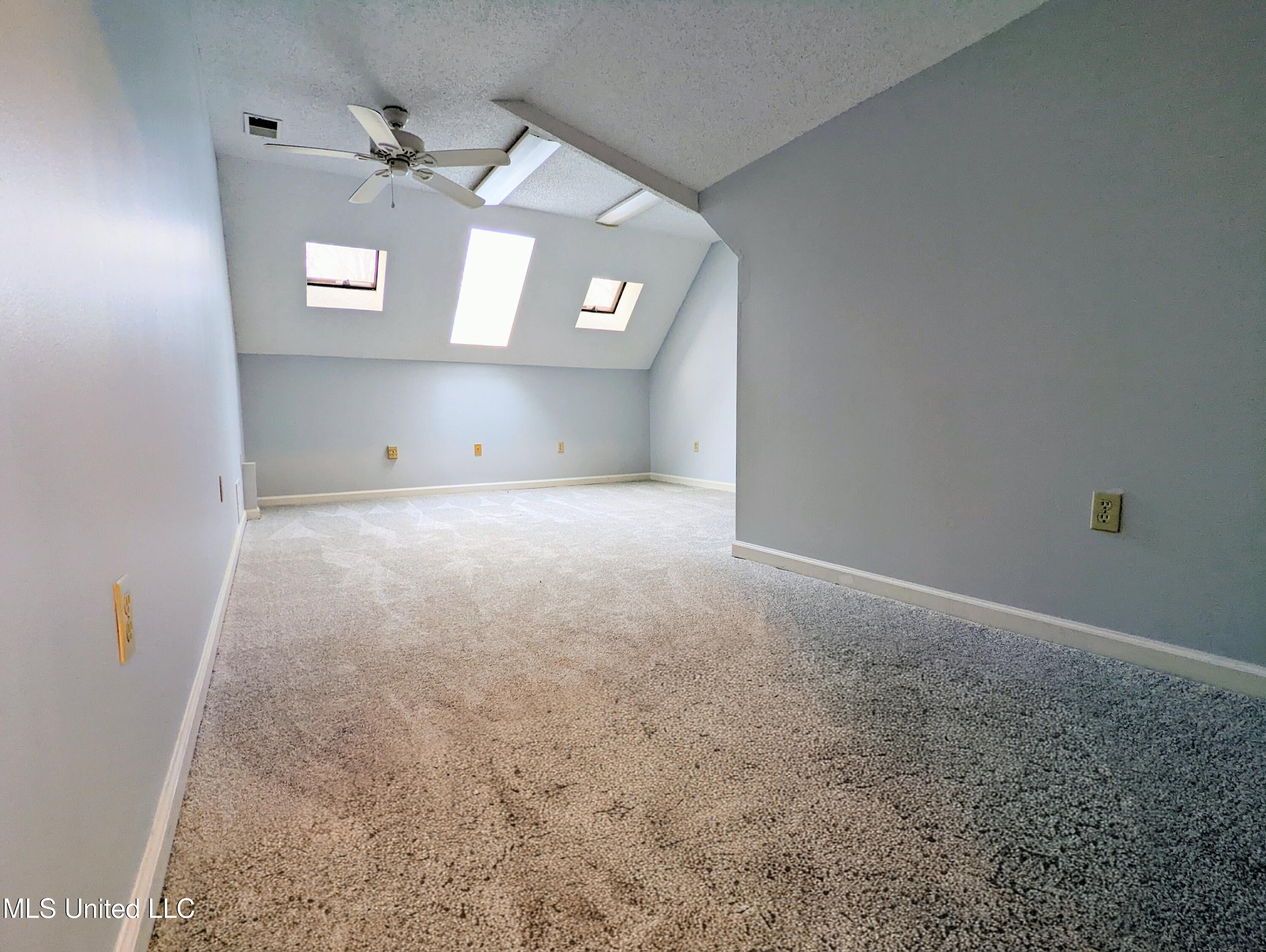 237 S Highway 51 Property Photo 29