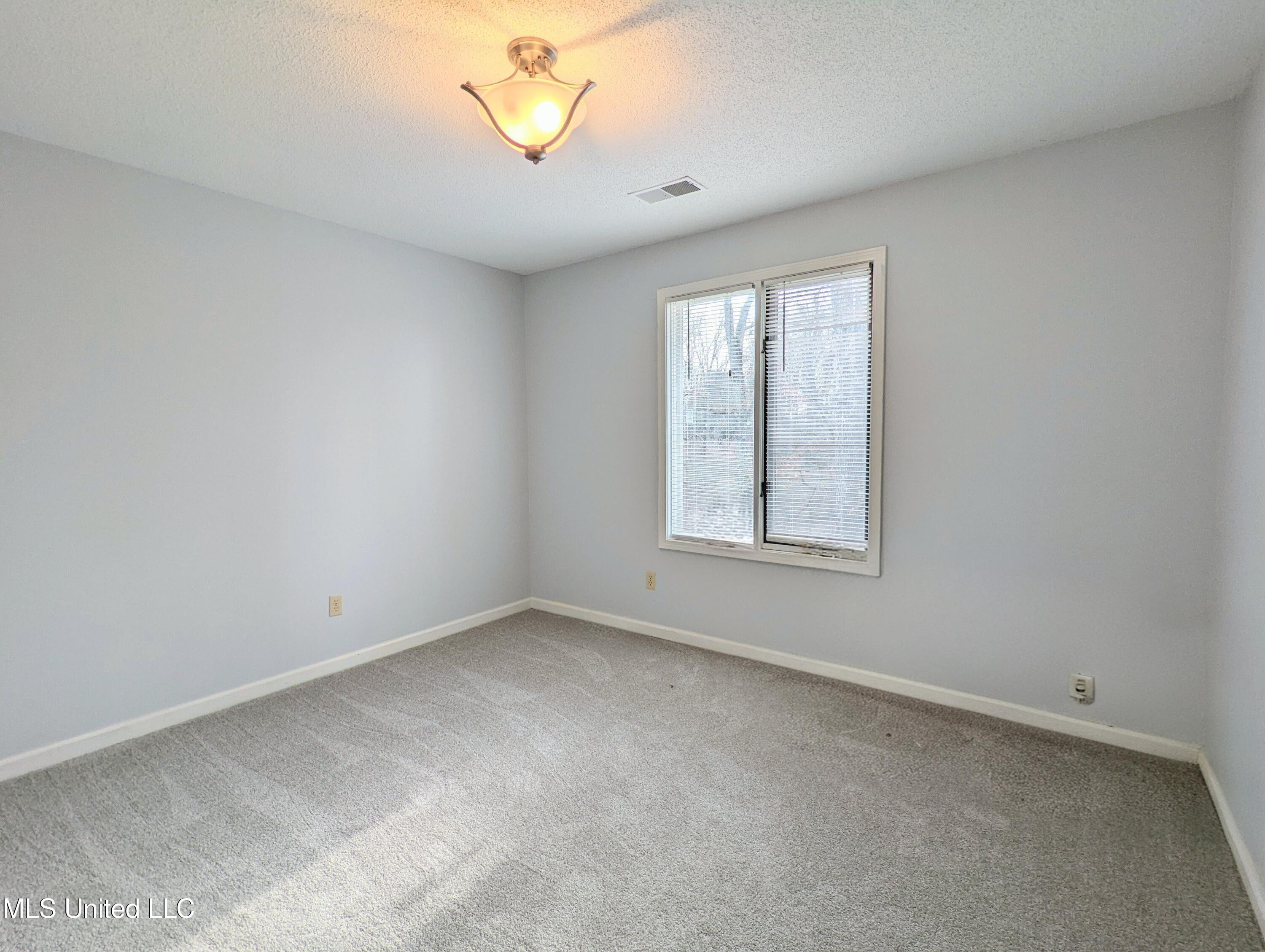 237 S Highway 51 Property Photo 32