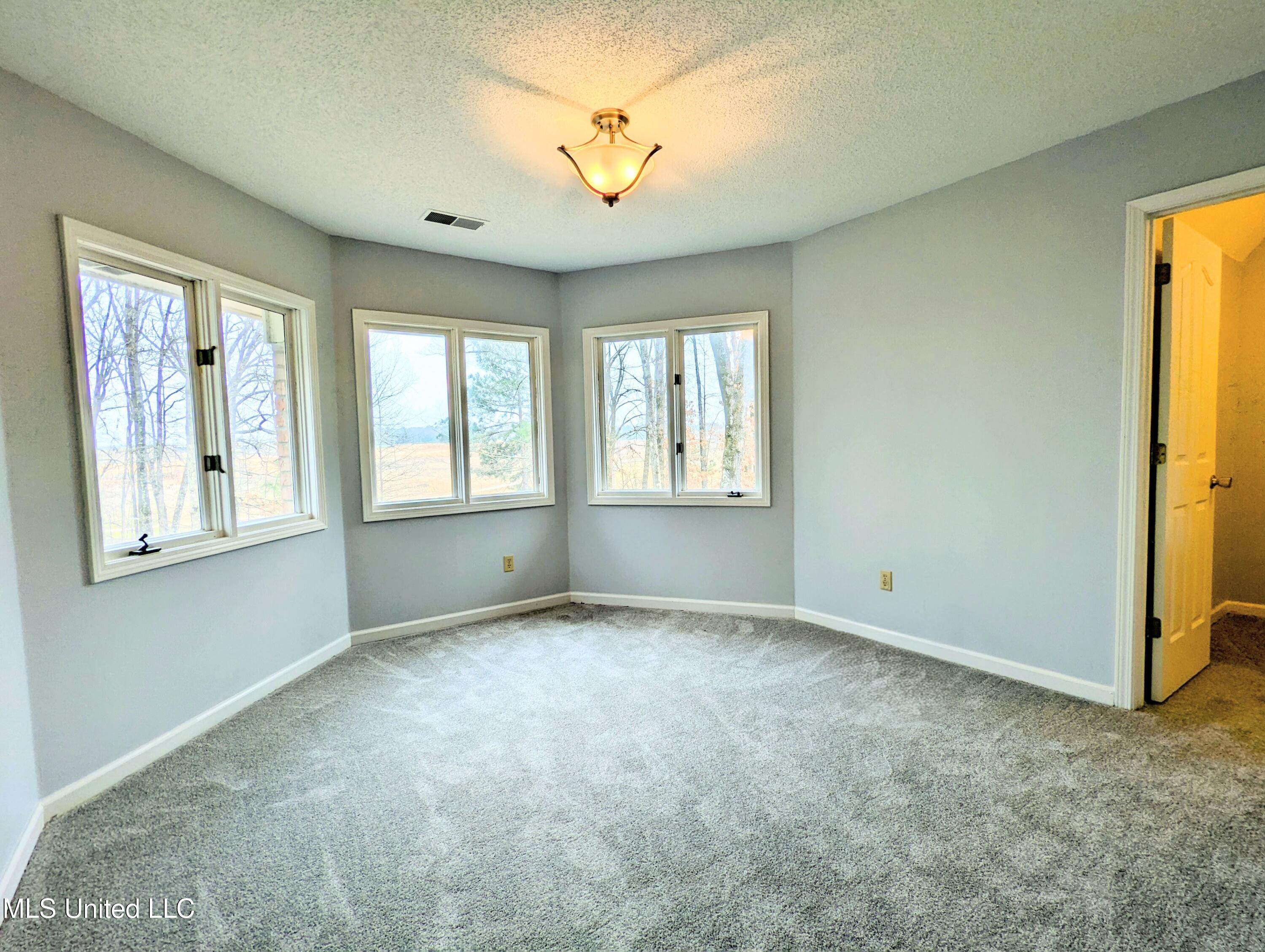 237 S Highway 51 Property Photo 33