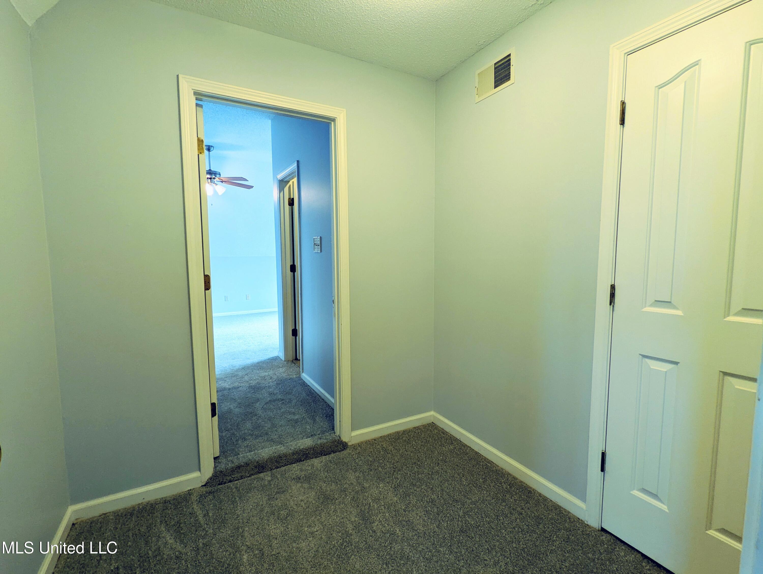 237 S Highway 51 Property Photo 35