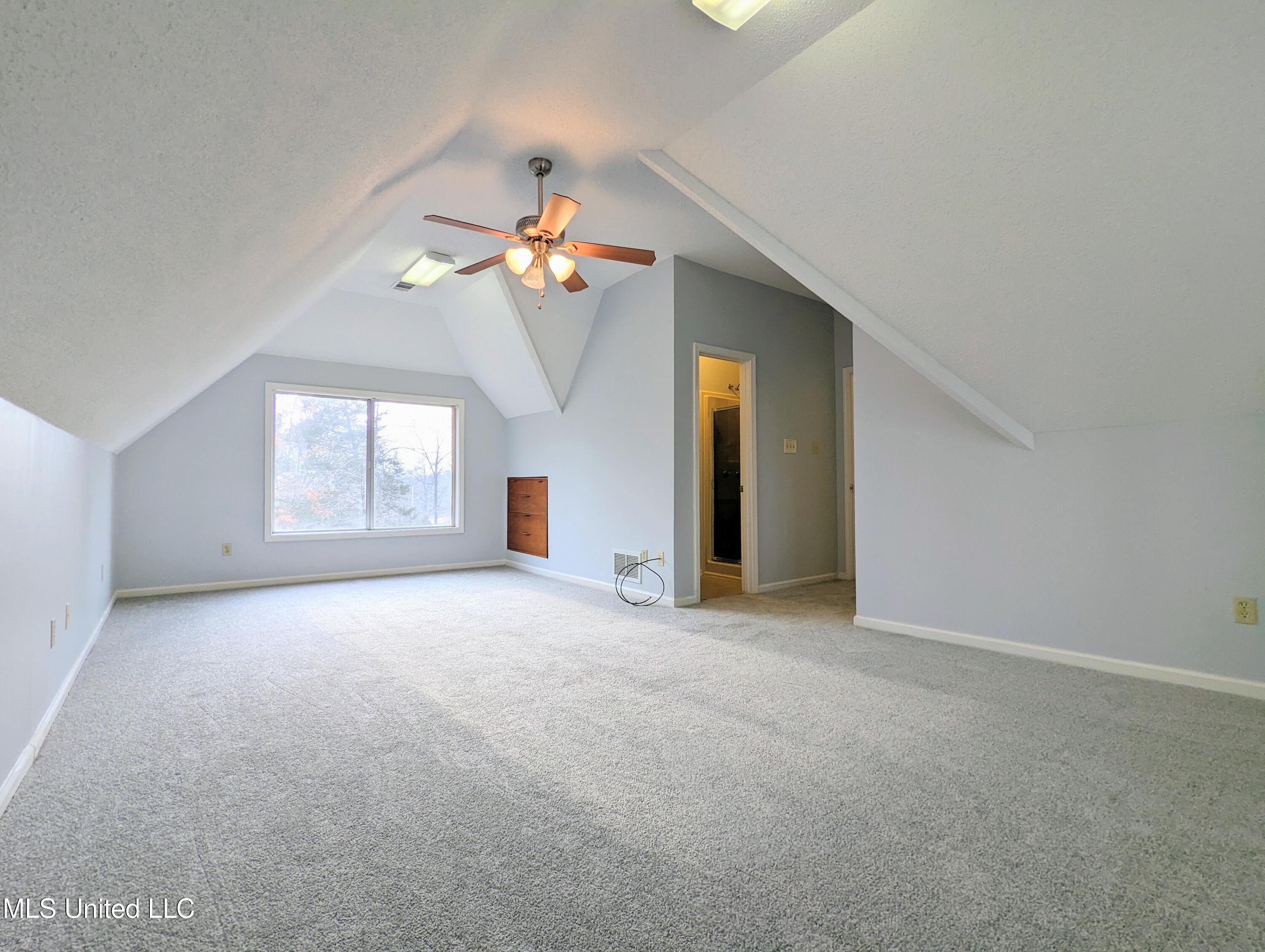 237 S Highway 51 Property Photo 36
