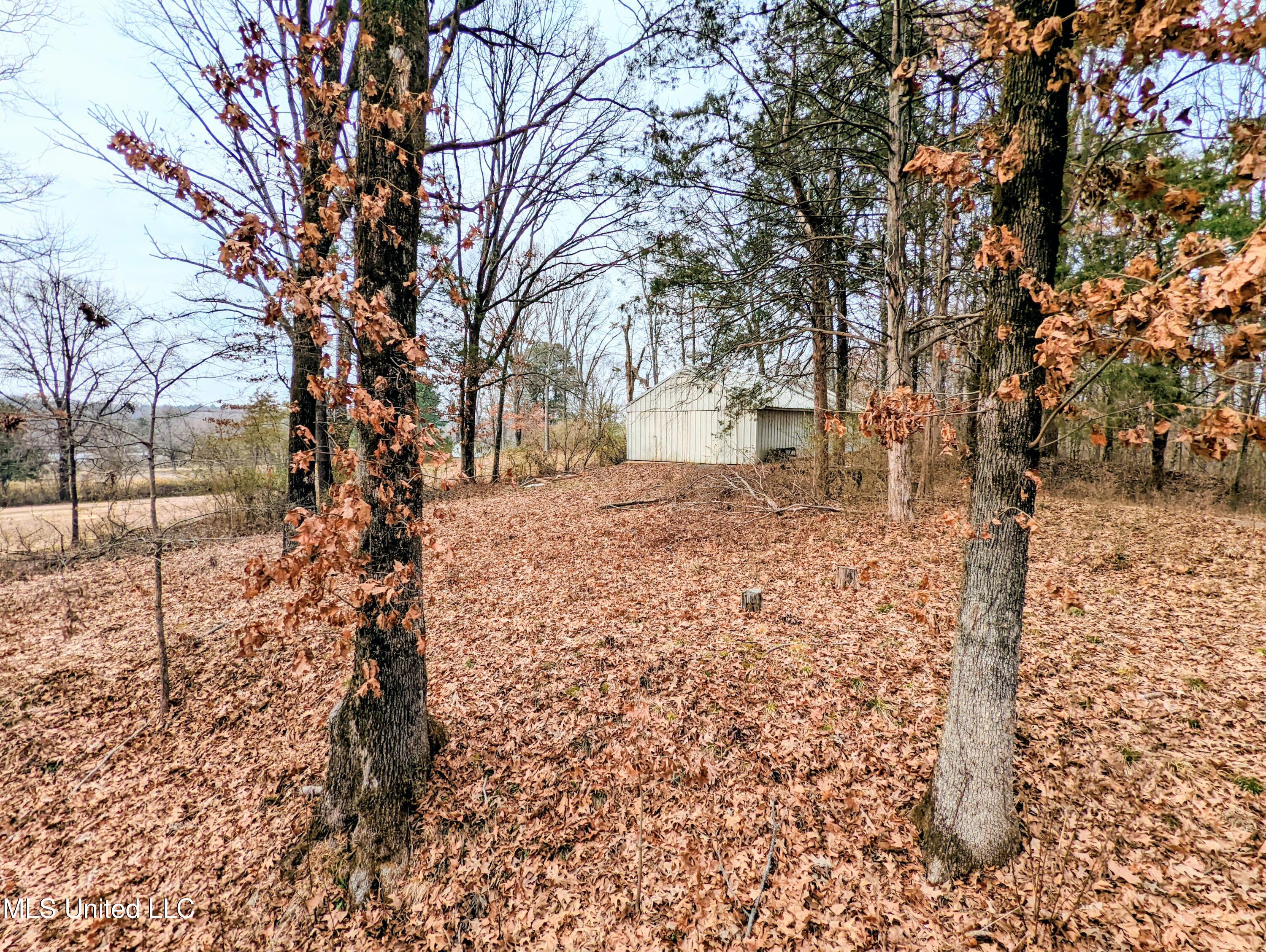 237 S Highway 51 Property Photo 45