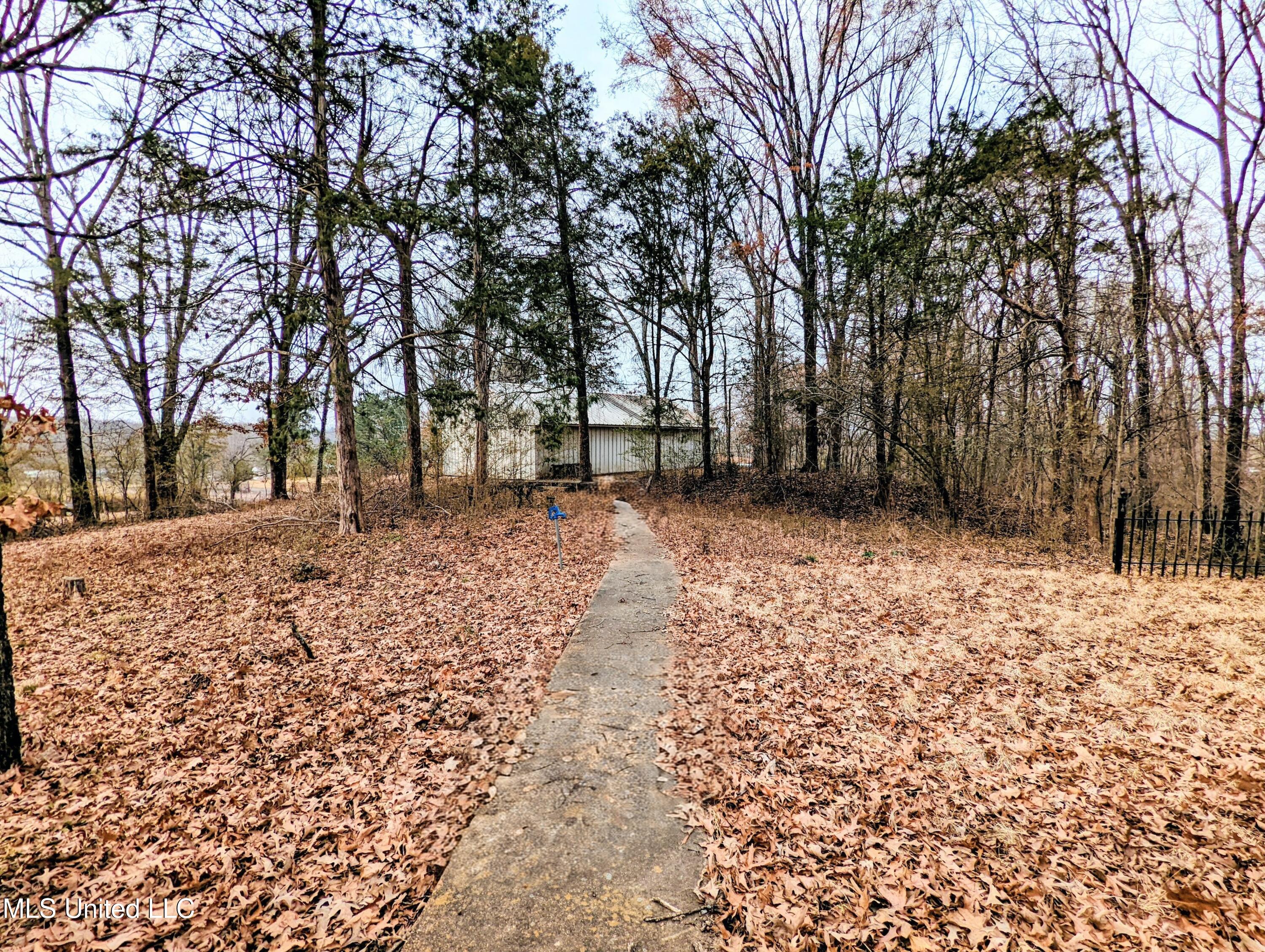 237 S Highway 51 Property Photo 46