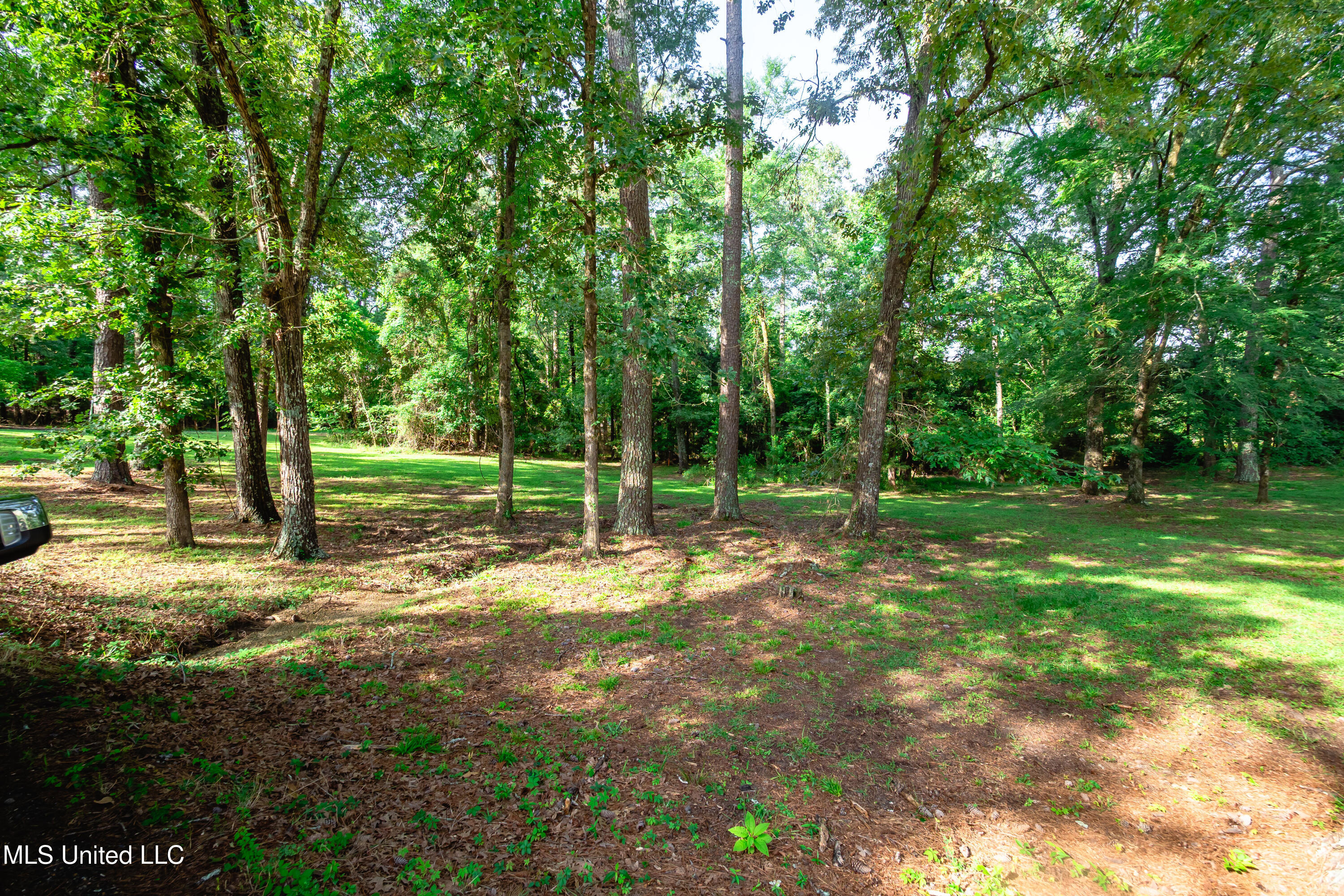 6147 Wirtz Road Property Photo 52