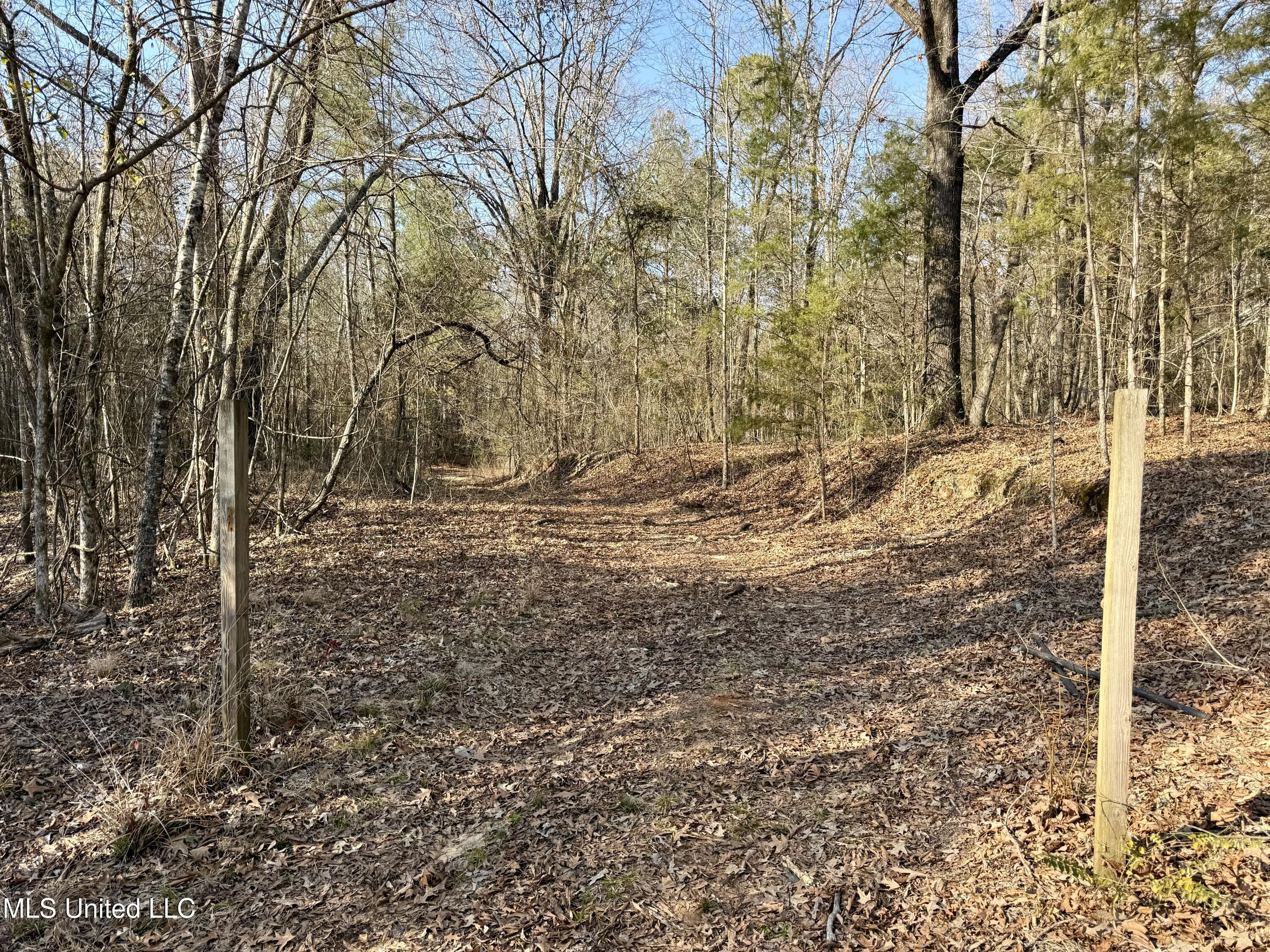 Attala Rd 4136