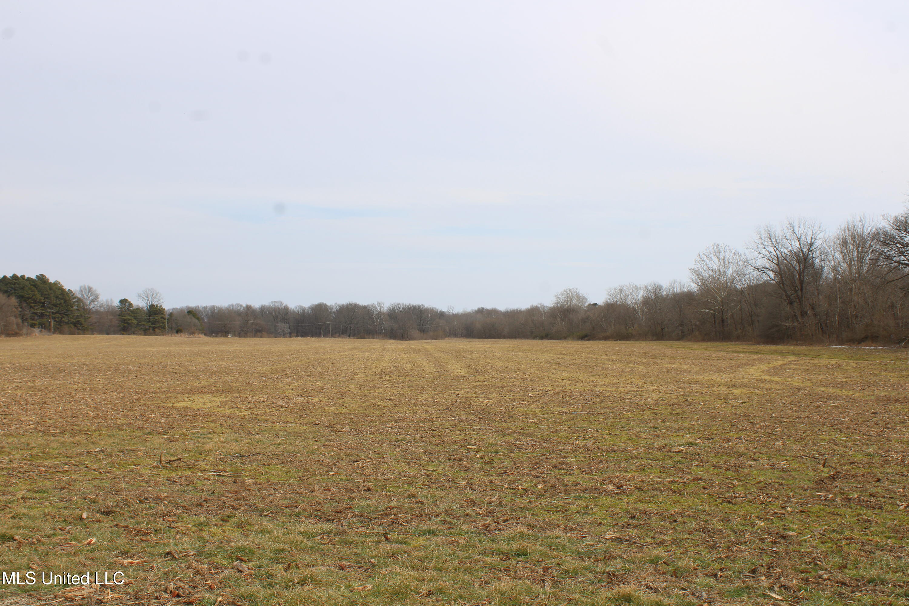 5000 Church Road Property Photo 14