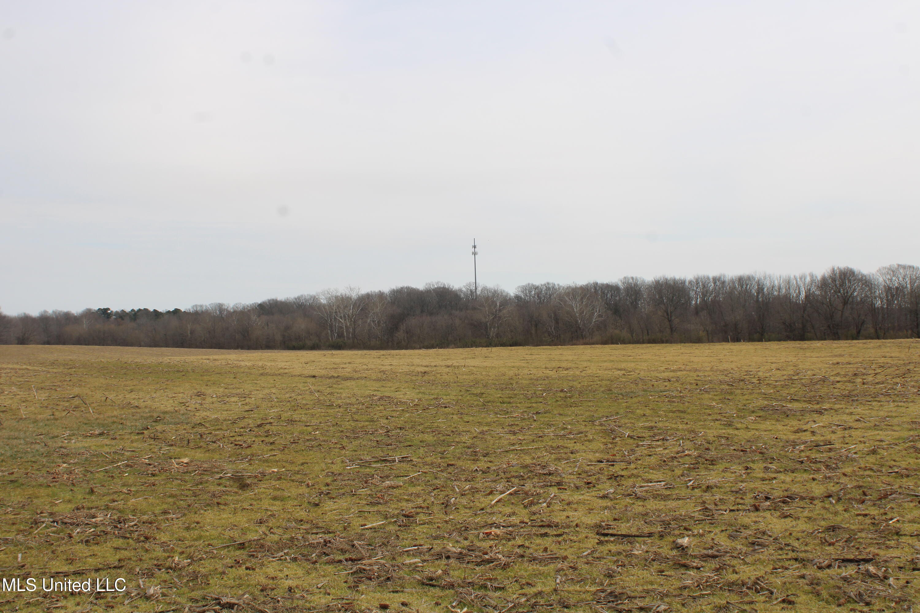 5000 Church Road Property Photo 15
