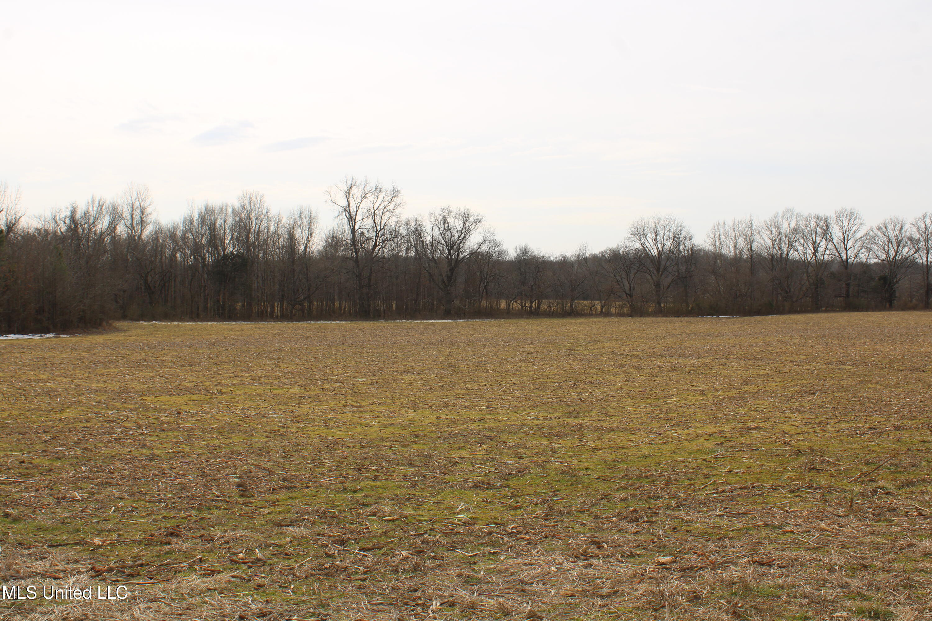 3900 Highway 301 Property Photo 3