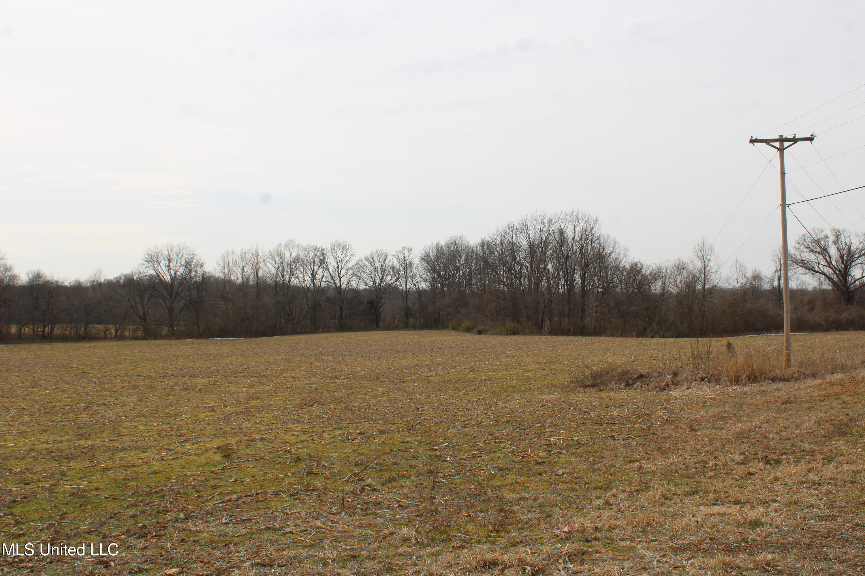 3900 Highway 301 Property Photo 4