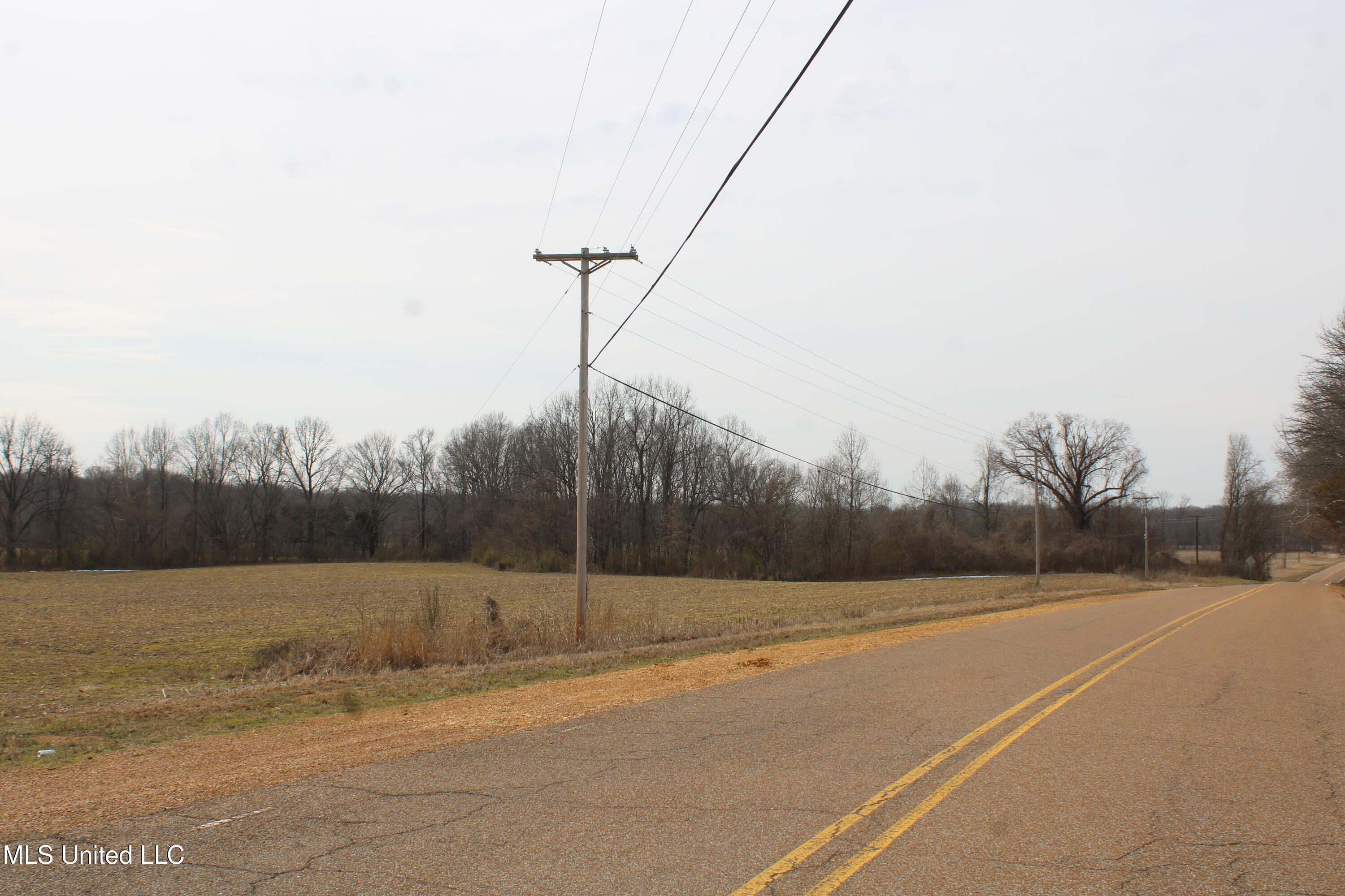 3900 Highway 301 Property Photo 5
