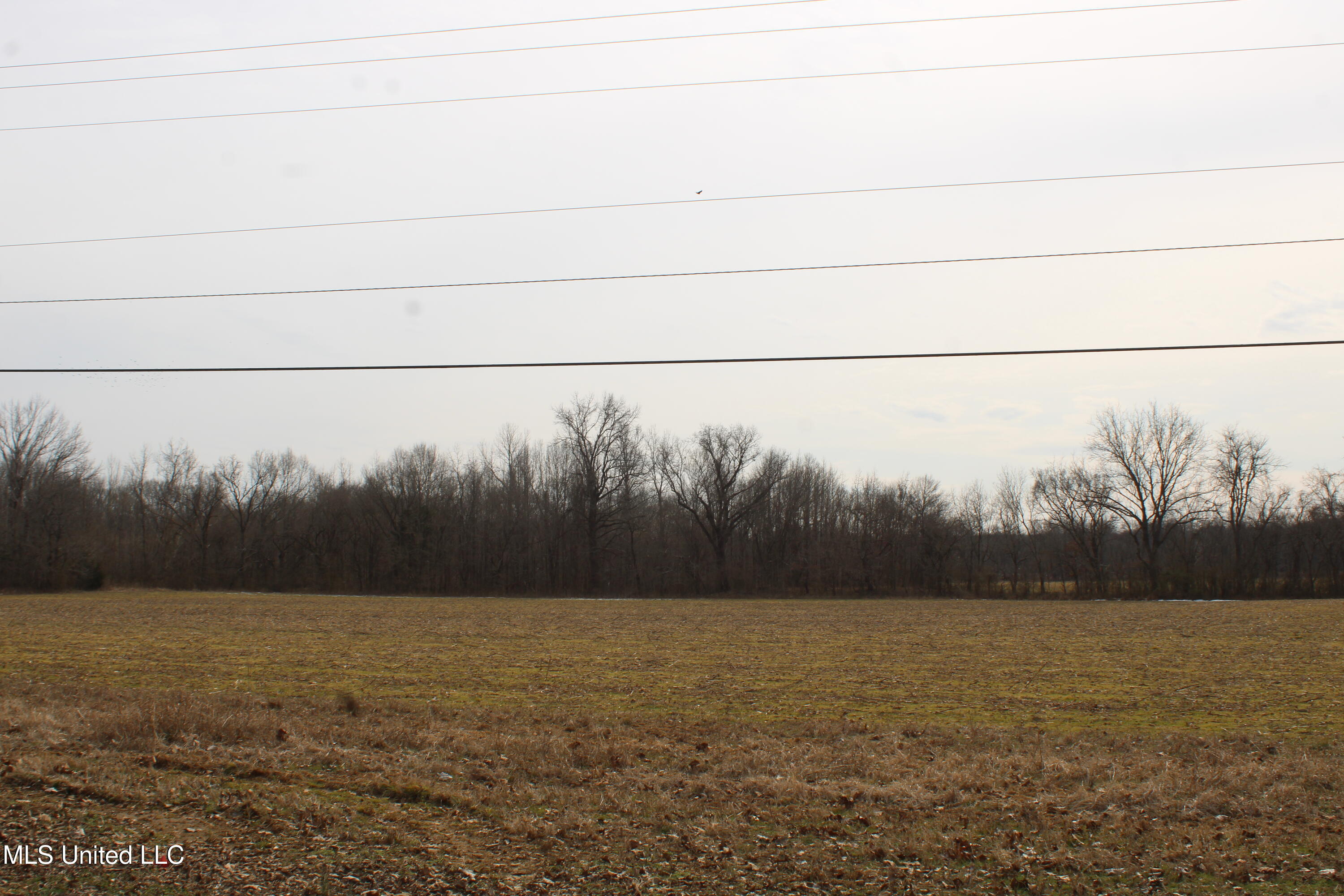 3900 Highway 301 Property Photo 6