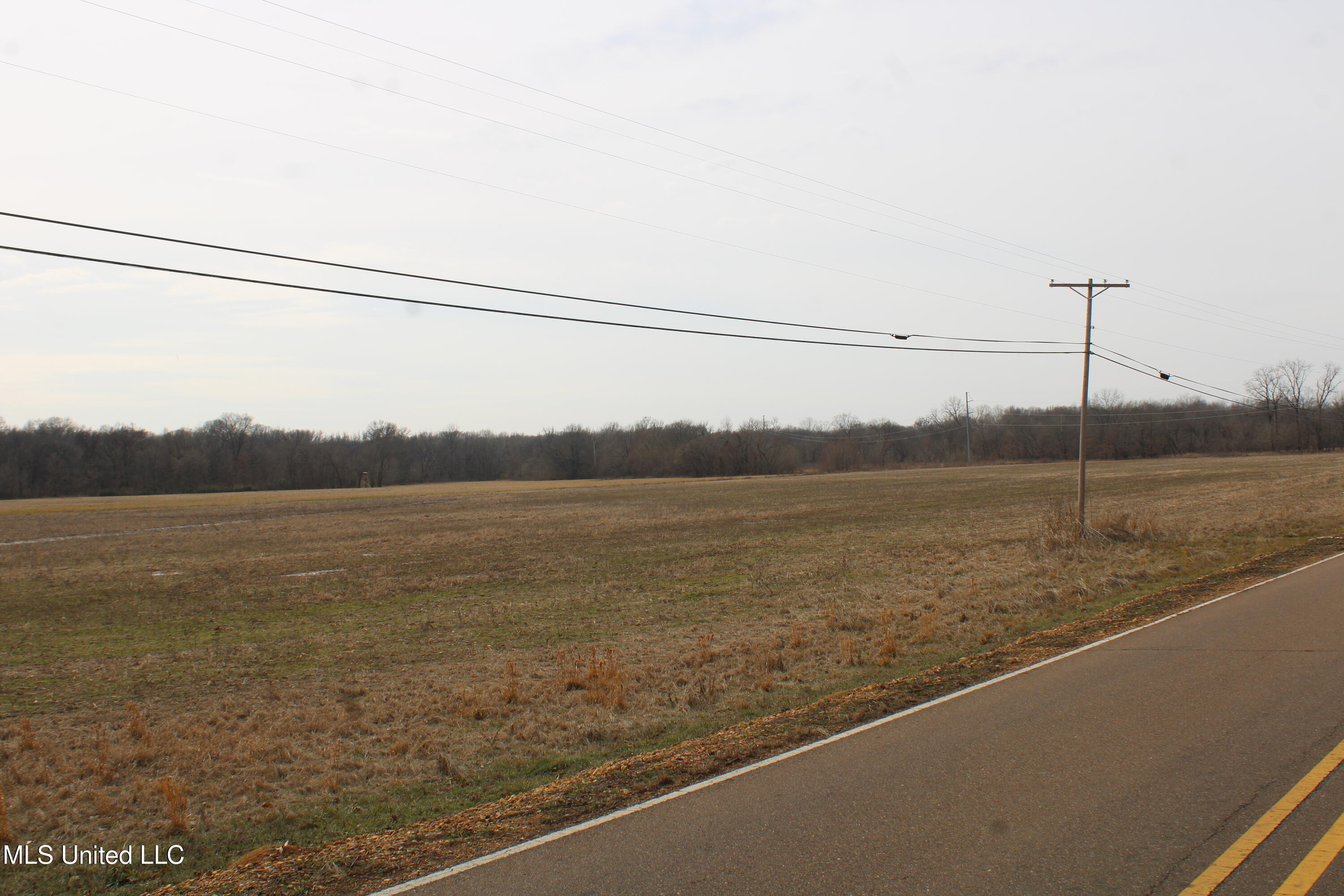 3900 Highway 301 Property Photo 7