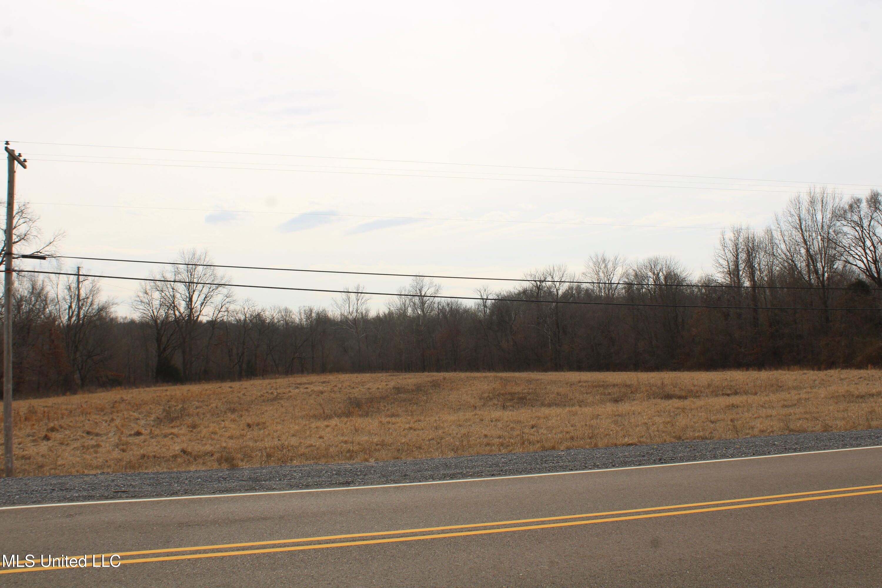 3900 Highway 301 Property Photo 9