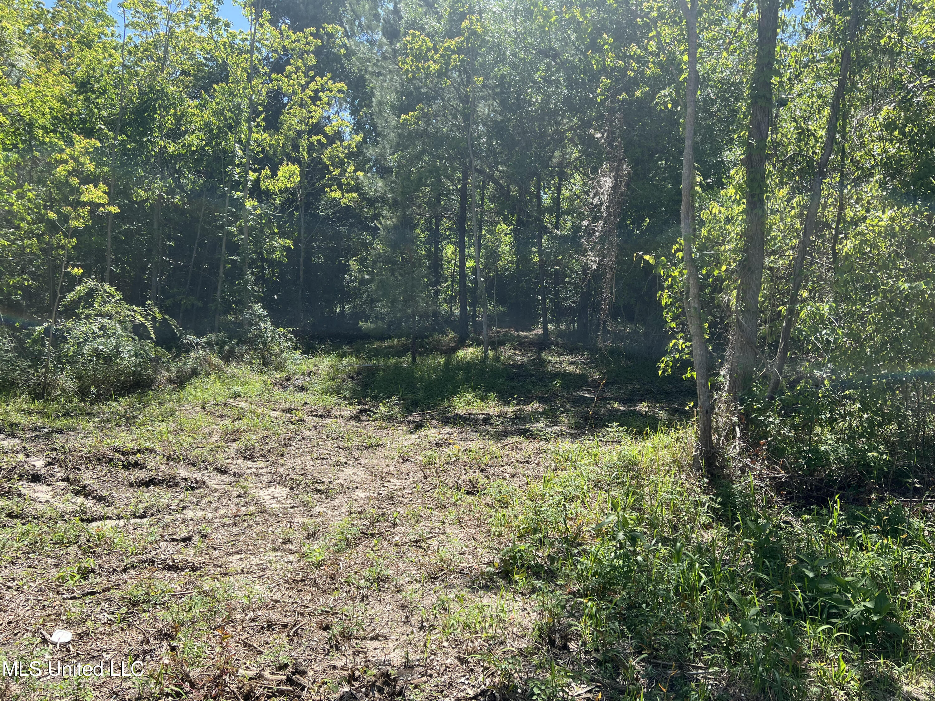 136 Leopold Street Property Photo 4
