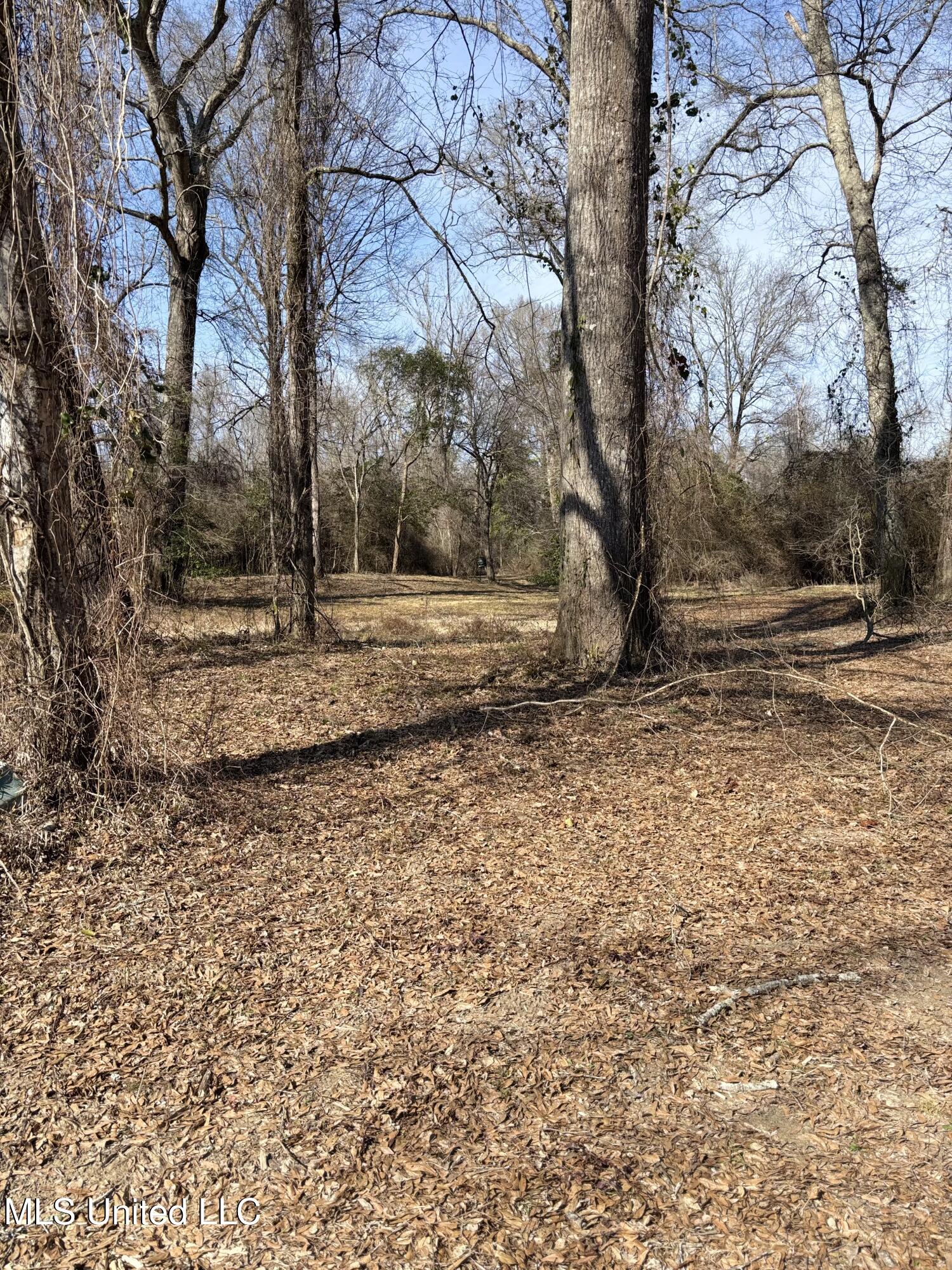 Lee Bass Road Property Photo 5