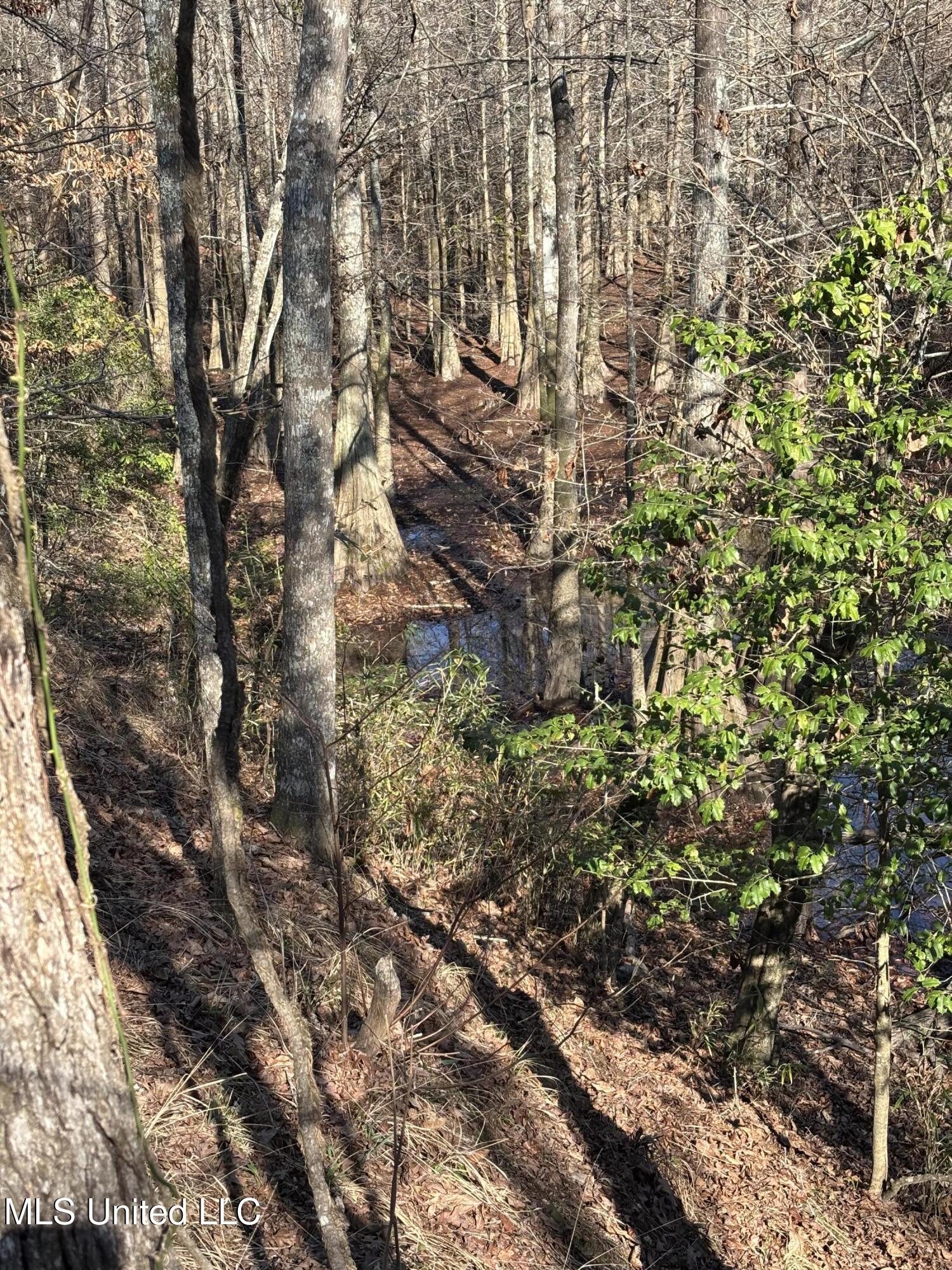 Lee Bass Road Property Photo 6