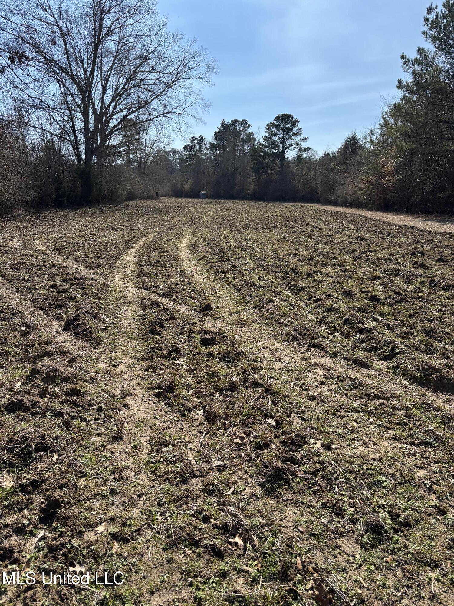 Lee Bass Road Property Photo 8