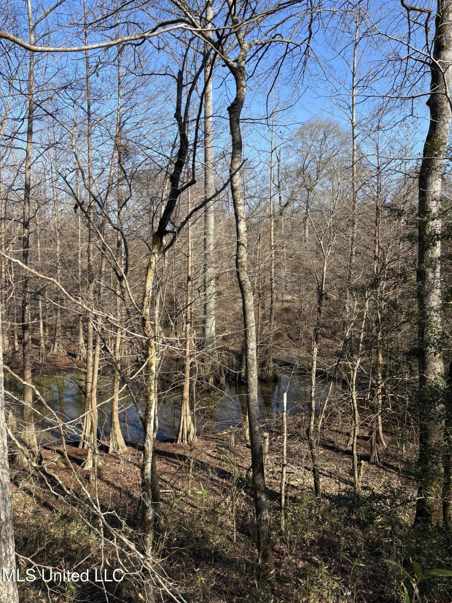 Lee Bass Road Property Photo 11
