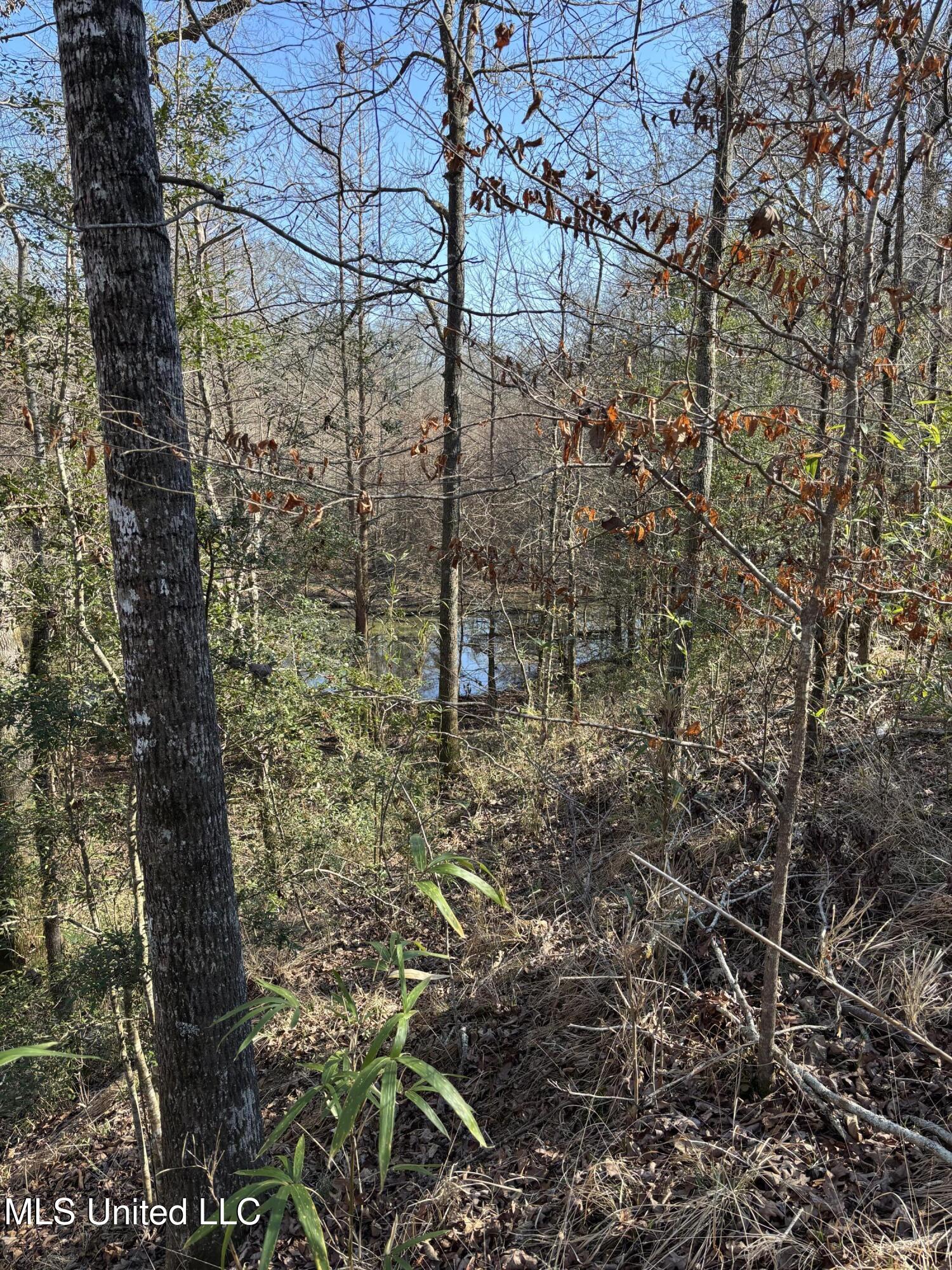 Lee Bass Road Property Photo 12