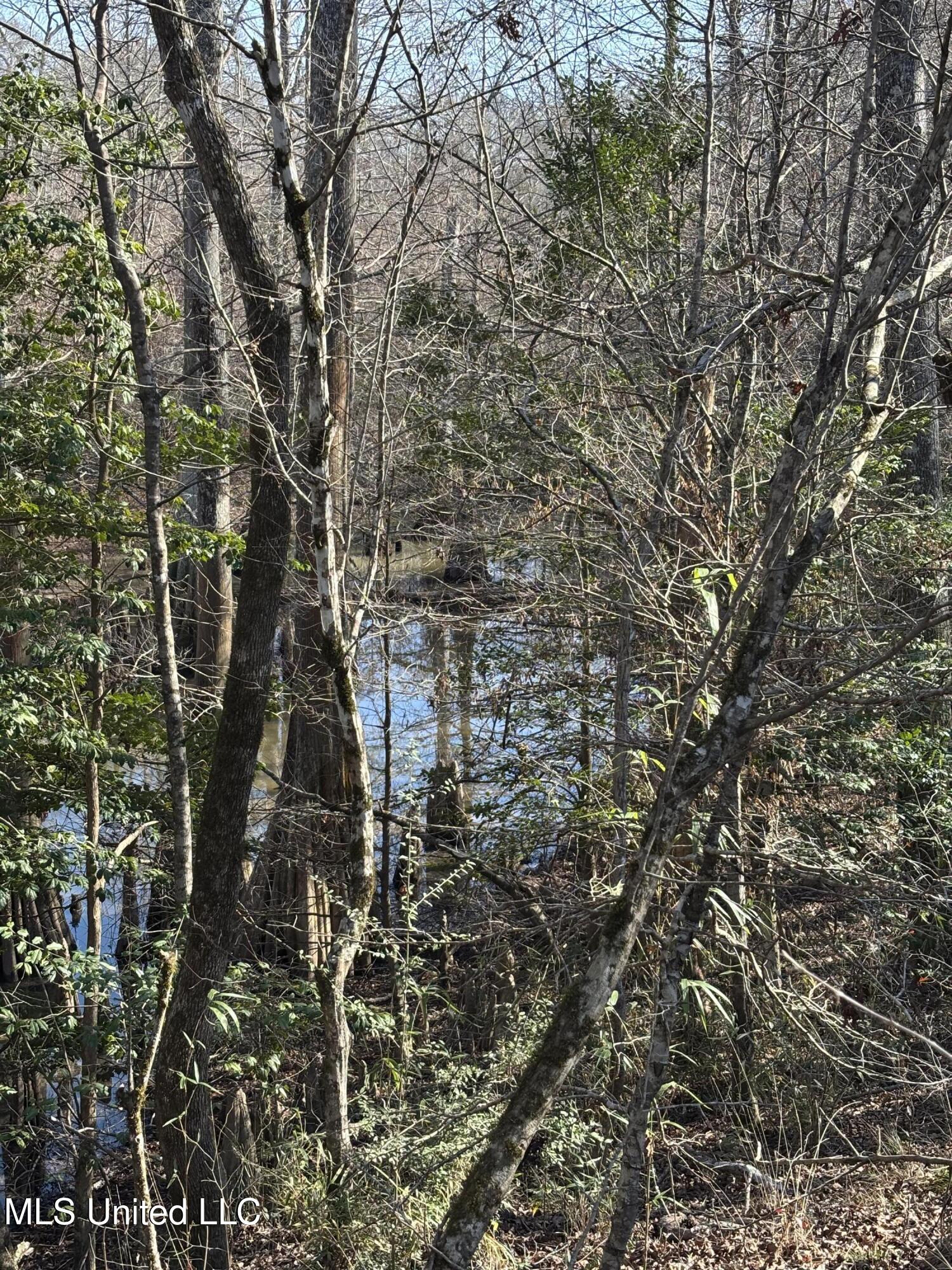Lee Bass Road Property Photo 13