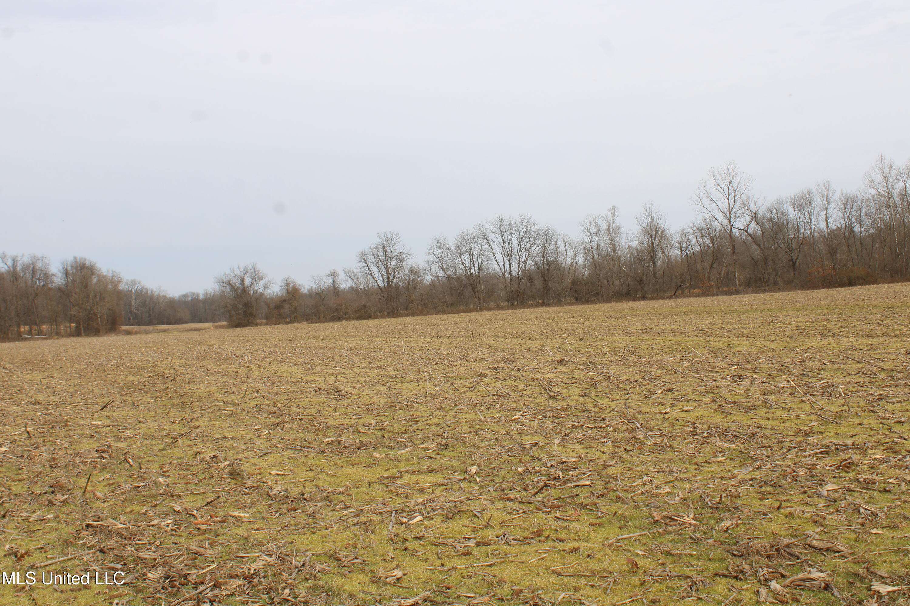 6000 Austin Road Property Photo 3