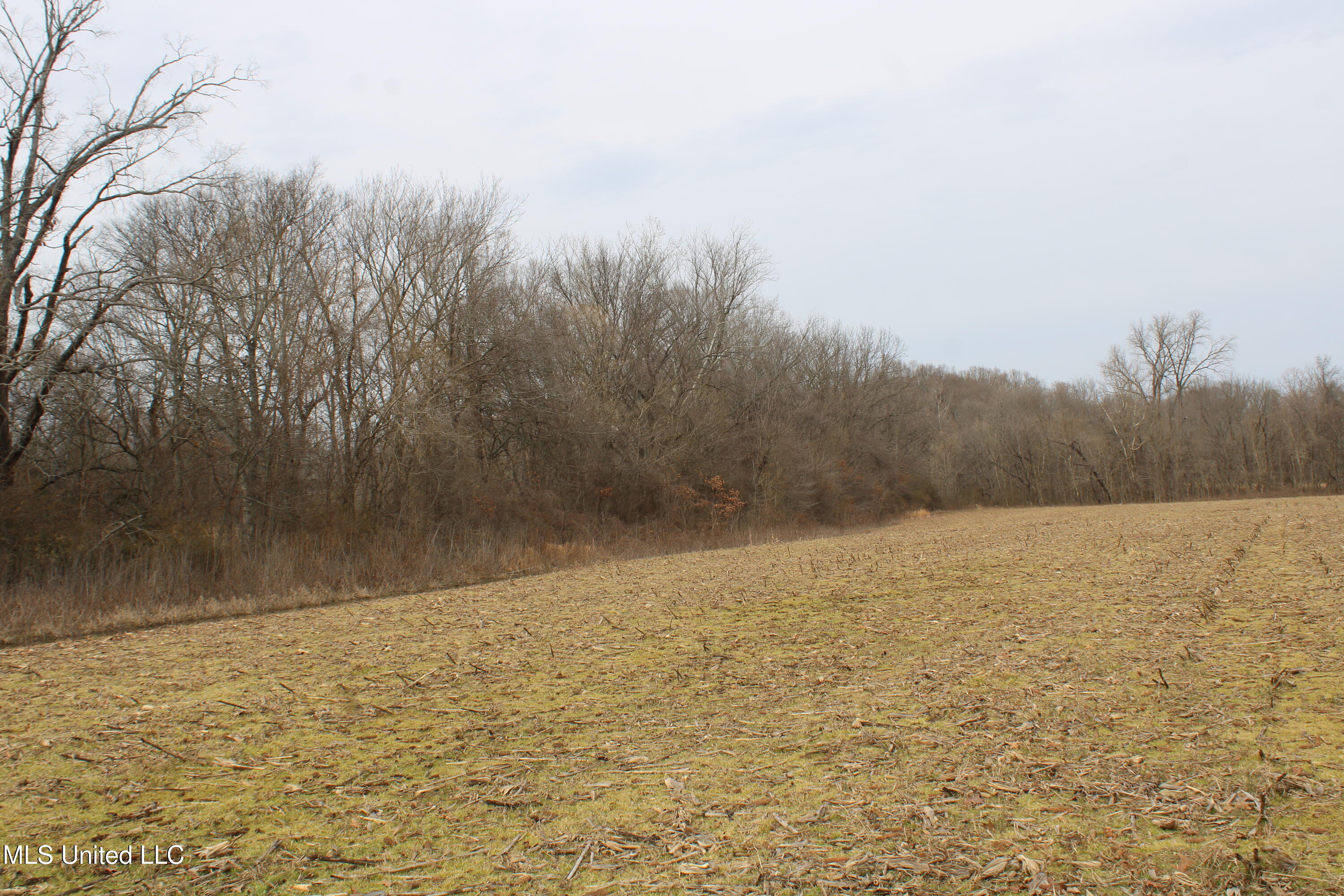 6000 Austin Road Property Photo 4