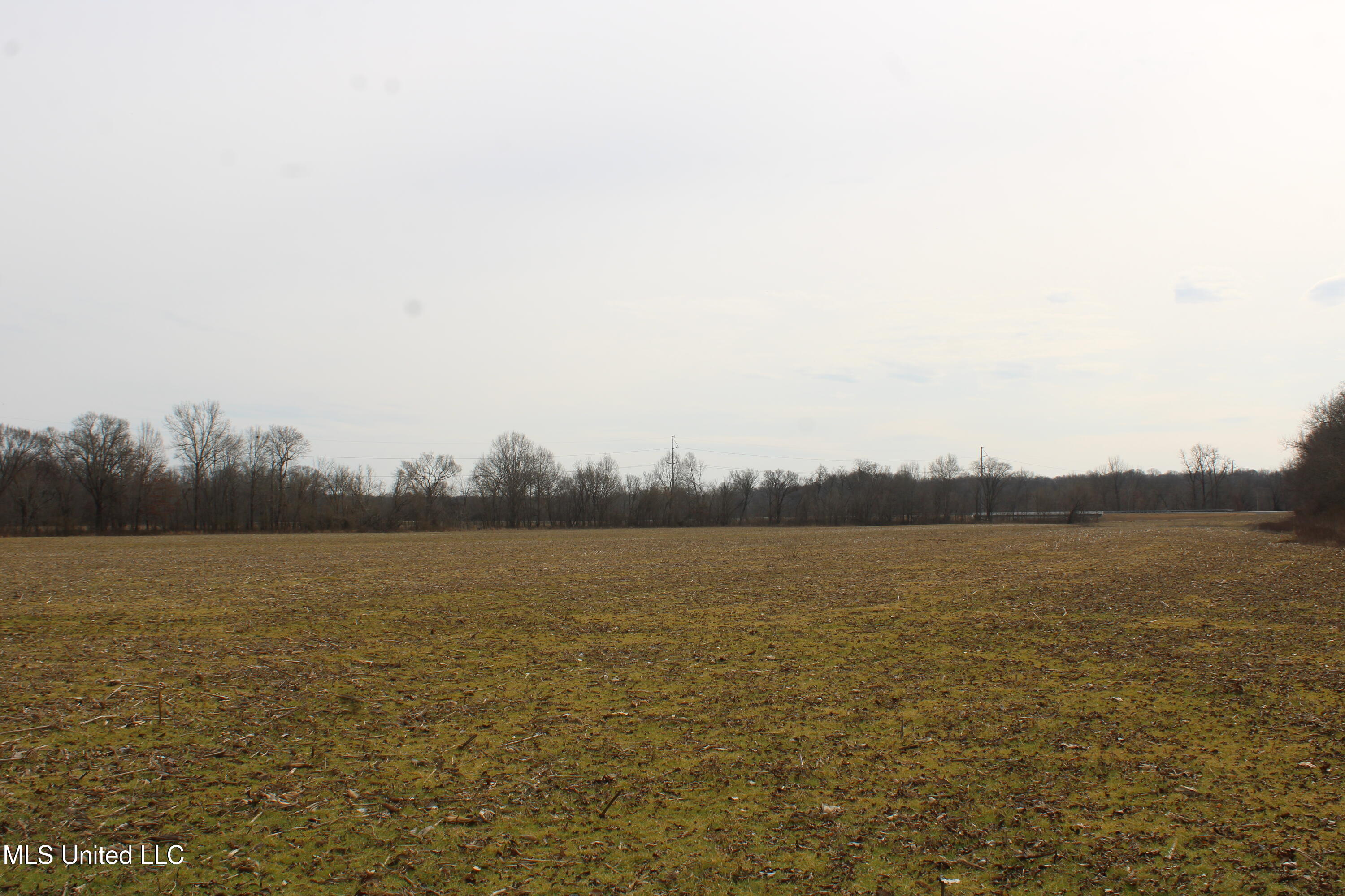 6000 Austin Road Property Photo 5